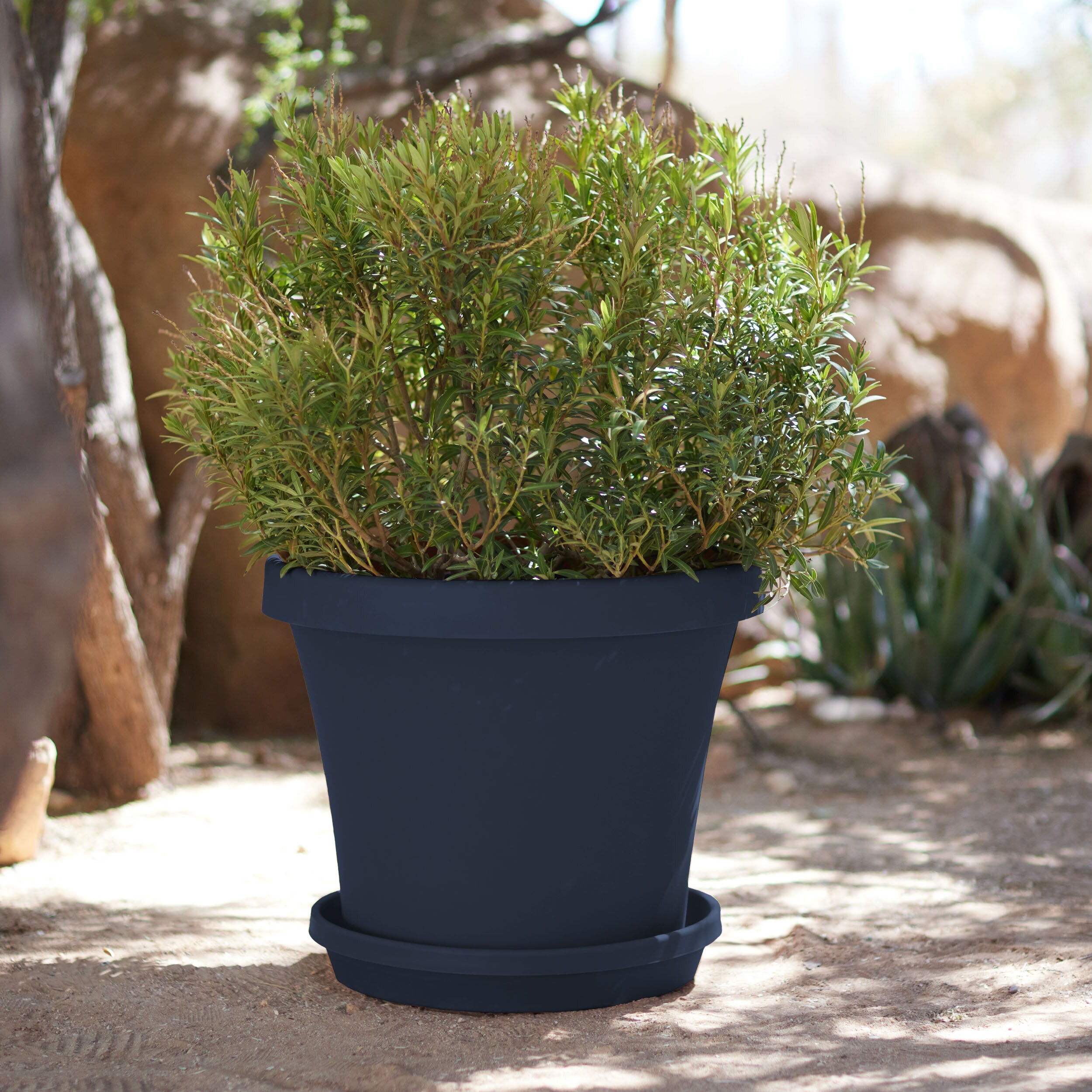 Bloem TR2470 Planter-Window-Box - View #5