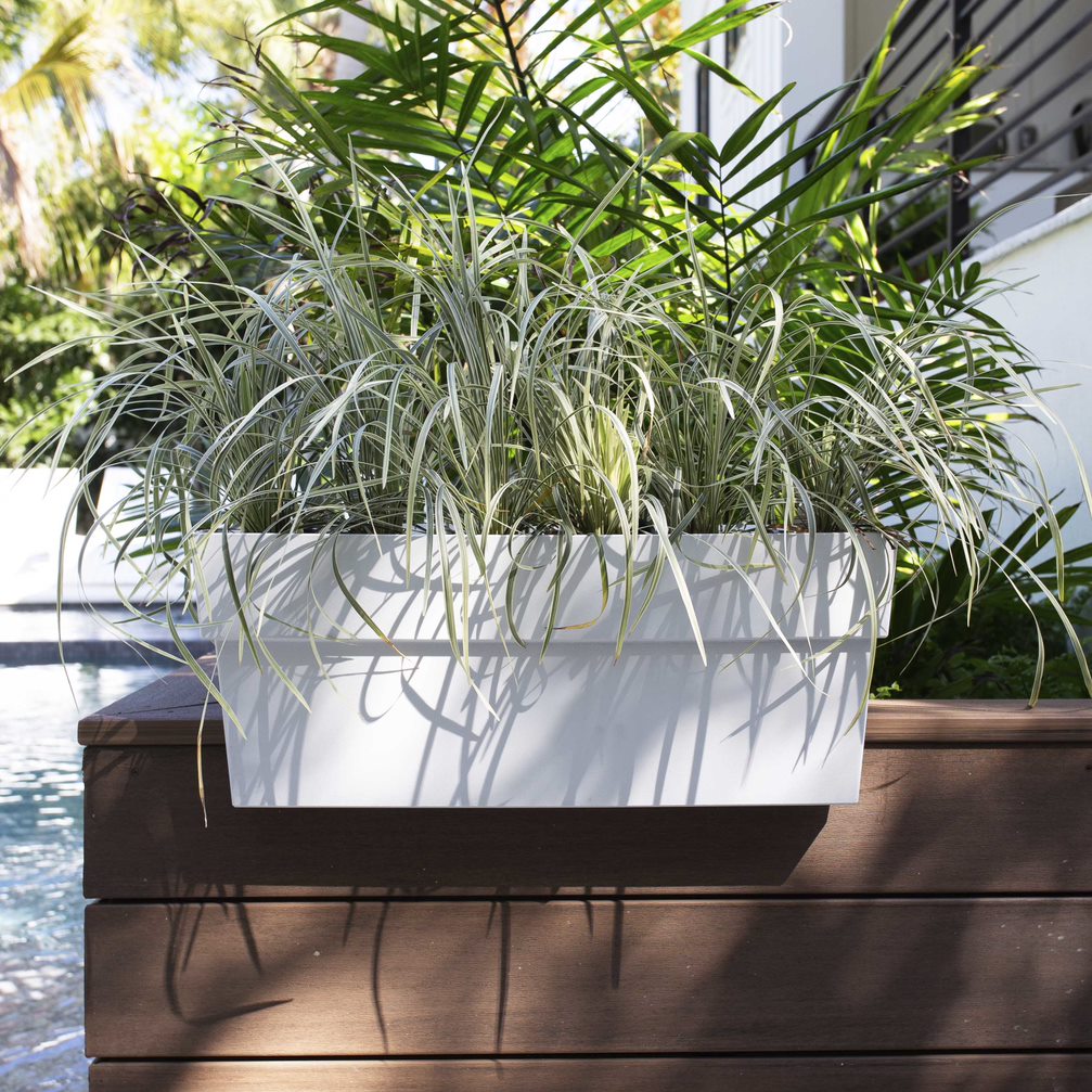 Bloem FDR2409 Planter-Window-Box - View #2
