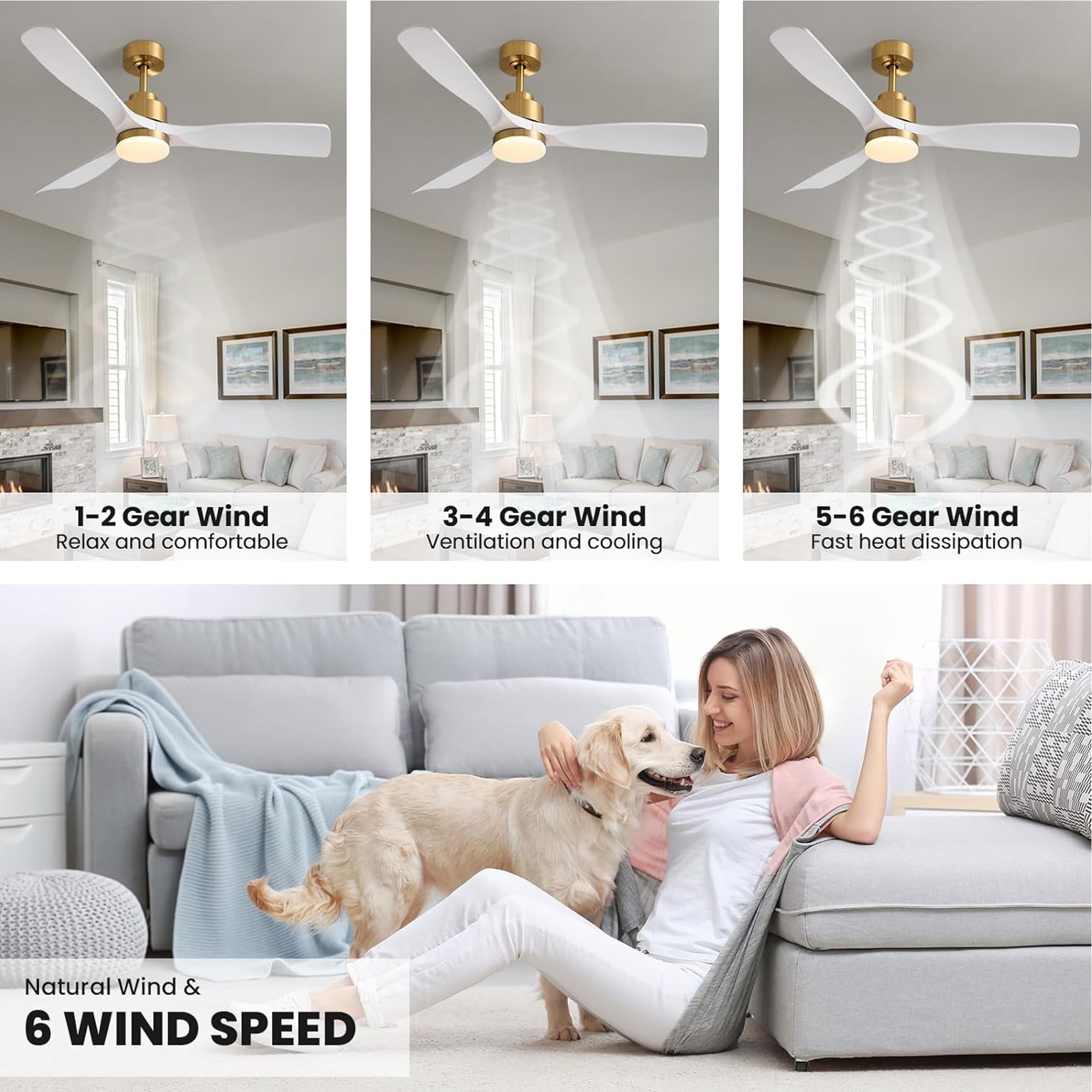 Antoine LSFD-43 Ceiling-Fans - View #4