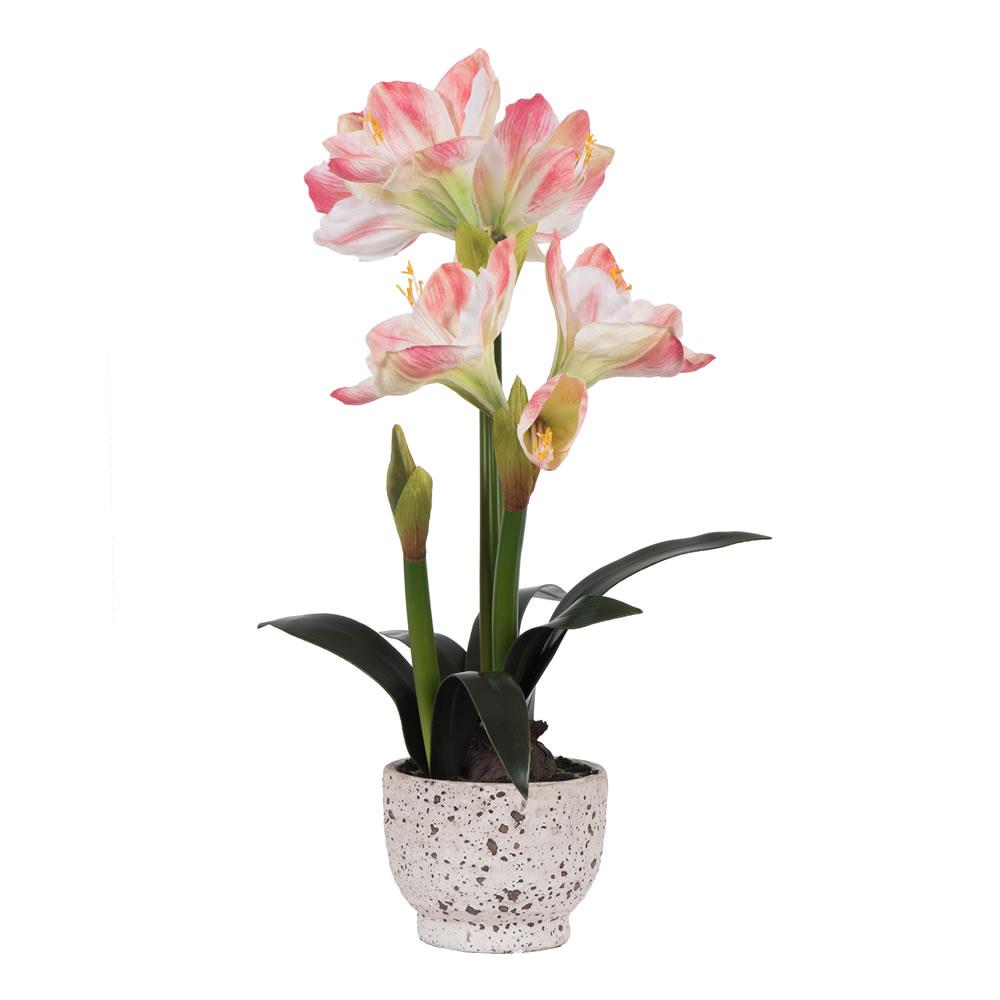 Everlasting Floral Gift  Artificial Amaryllis Flower in Ceramic Pot Potted Plant 
