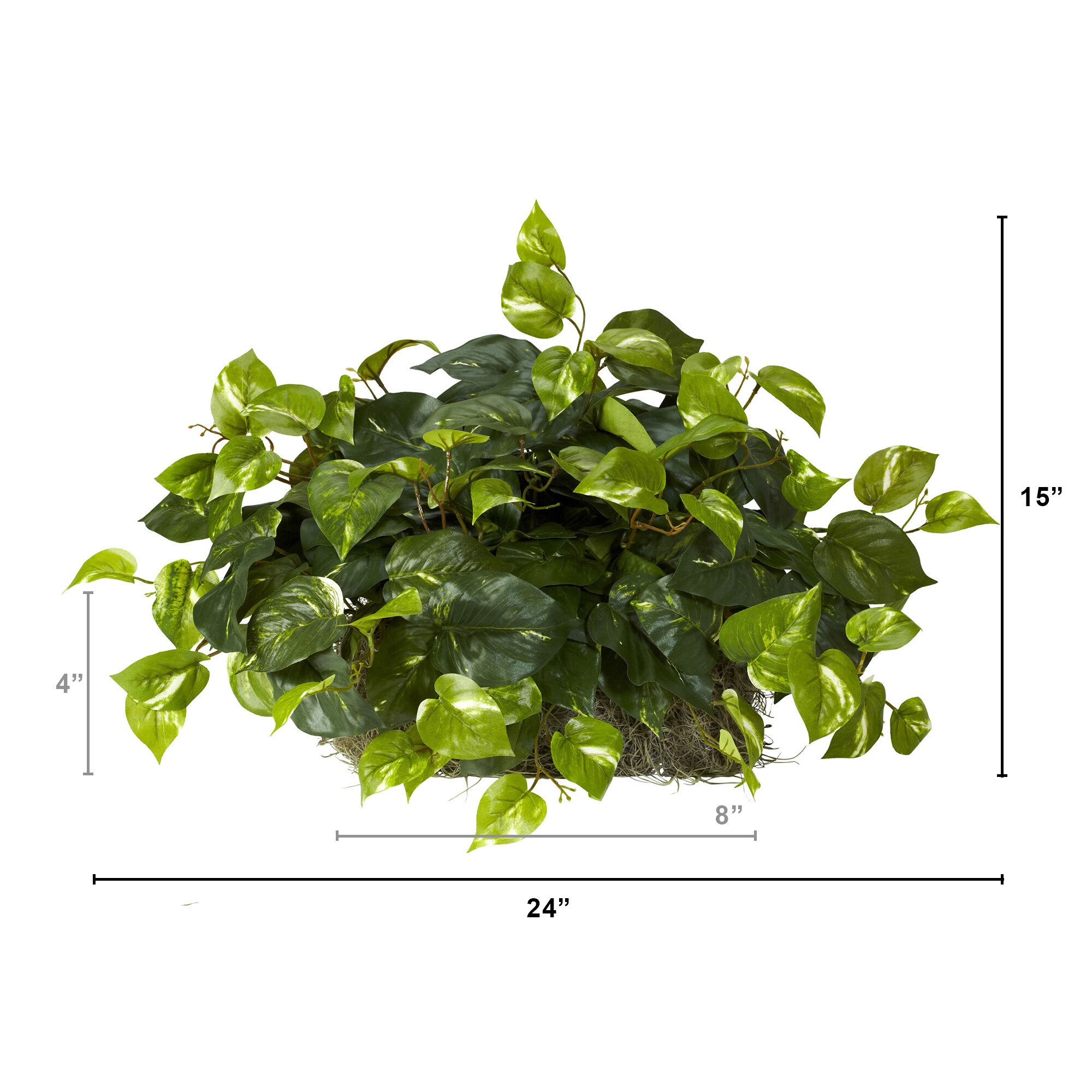 Elegant Pothos Silk Tabletop Plant in Compact Plastic