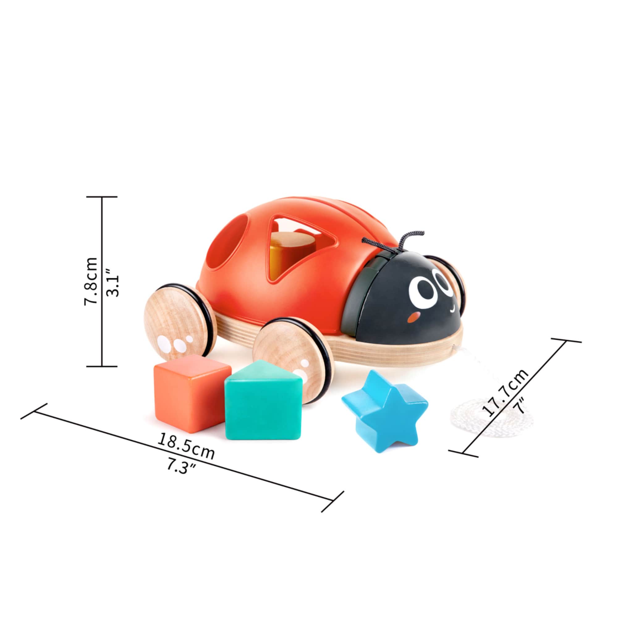Hape G6943478034969 Play-Toys - View #6