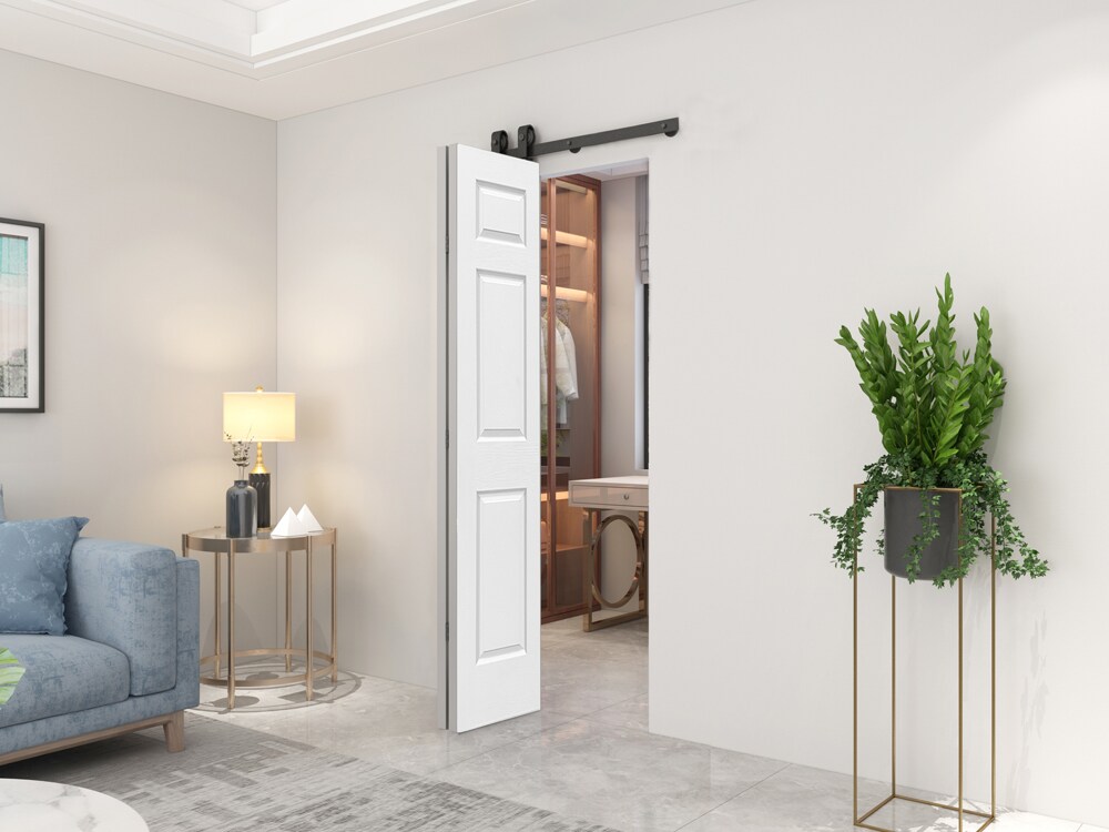 CALHOME 2T-11+6P84X30 Barn-Doors - View #4