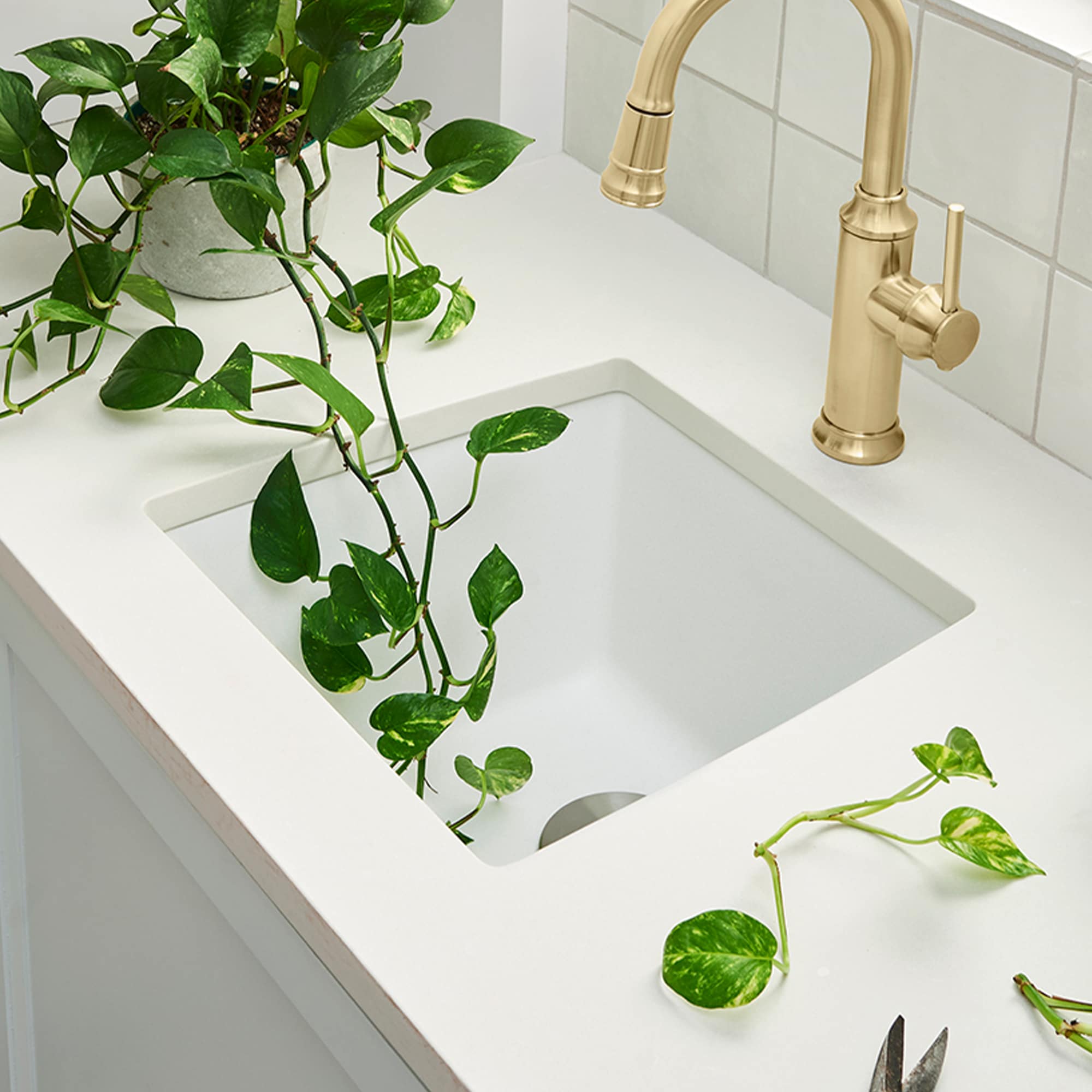 BLANCO 440081 Bar-Prep-Sinks - View #2