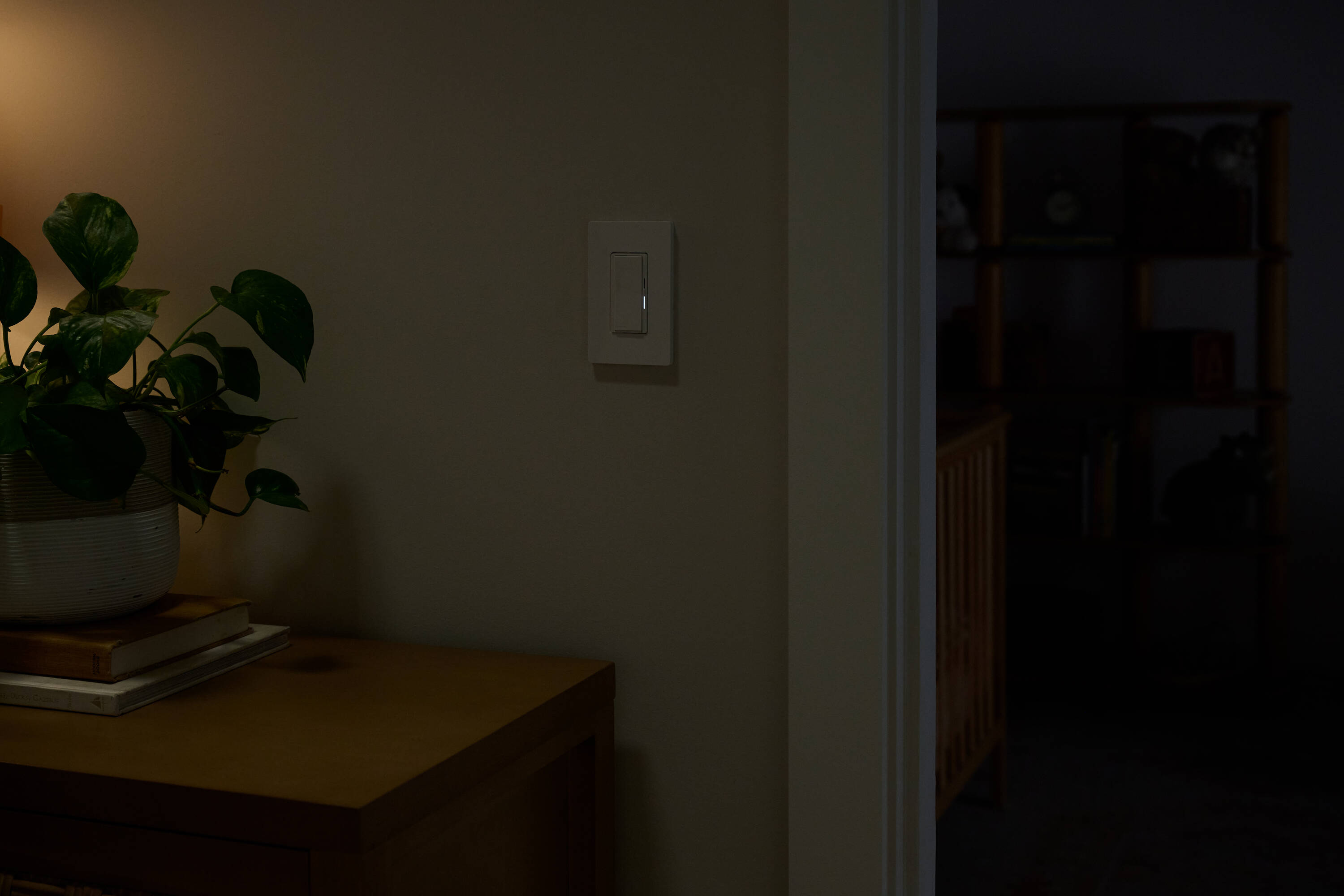 Lutron   - View #11