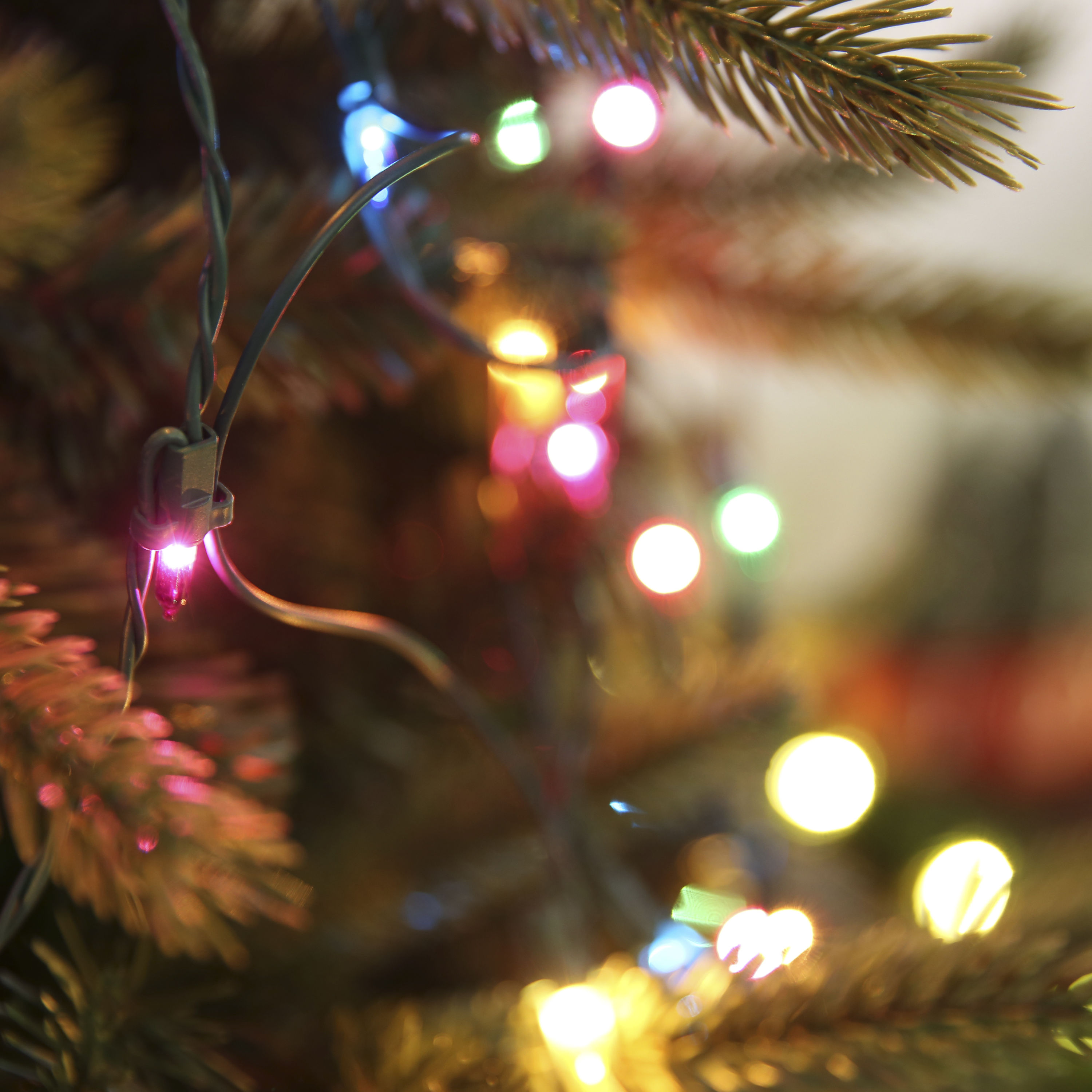 GE 62205LO Christmas-Net-Lights - View #2