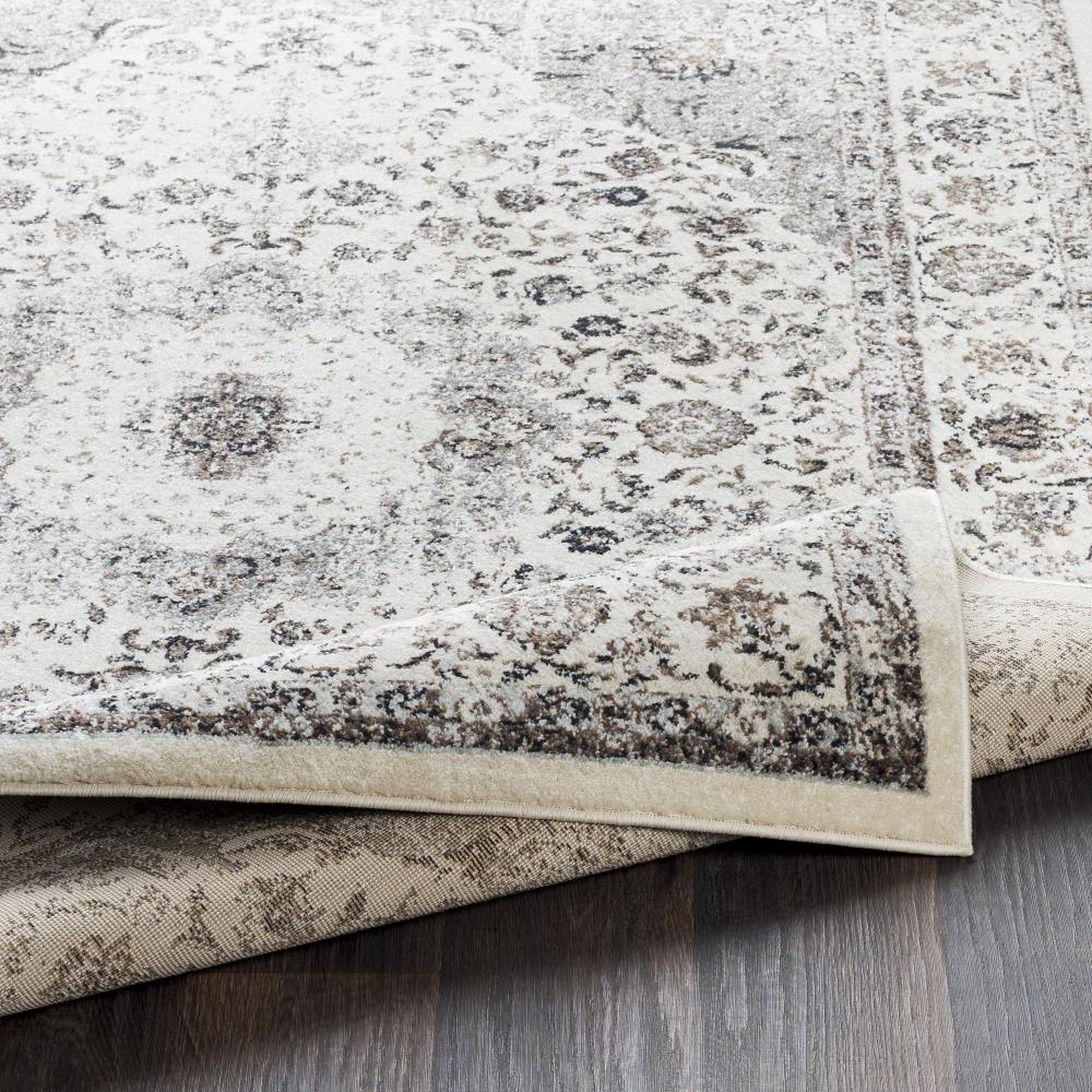 Surya CSA2305-710103 rugs - View #4