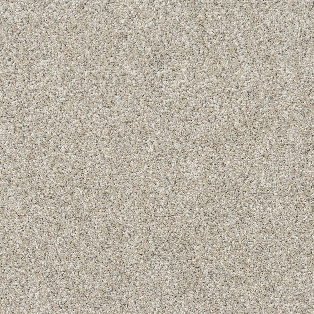 STAINMASTER (Sample) 8-in x 8-in Desirable Outlook I NORTH WIND Gray 50 ...
