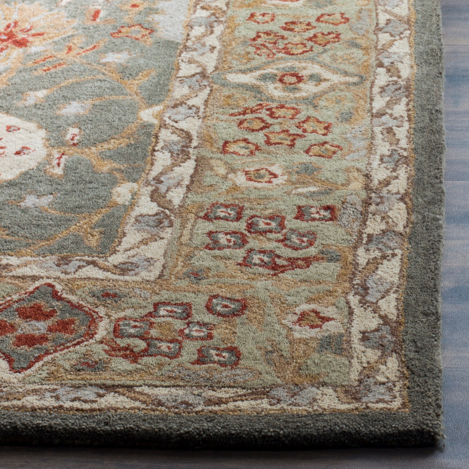 Safavieh AN516A-3 rugs - View #3