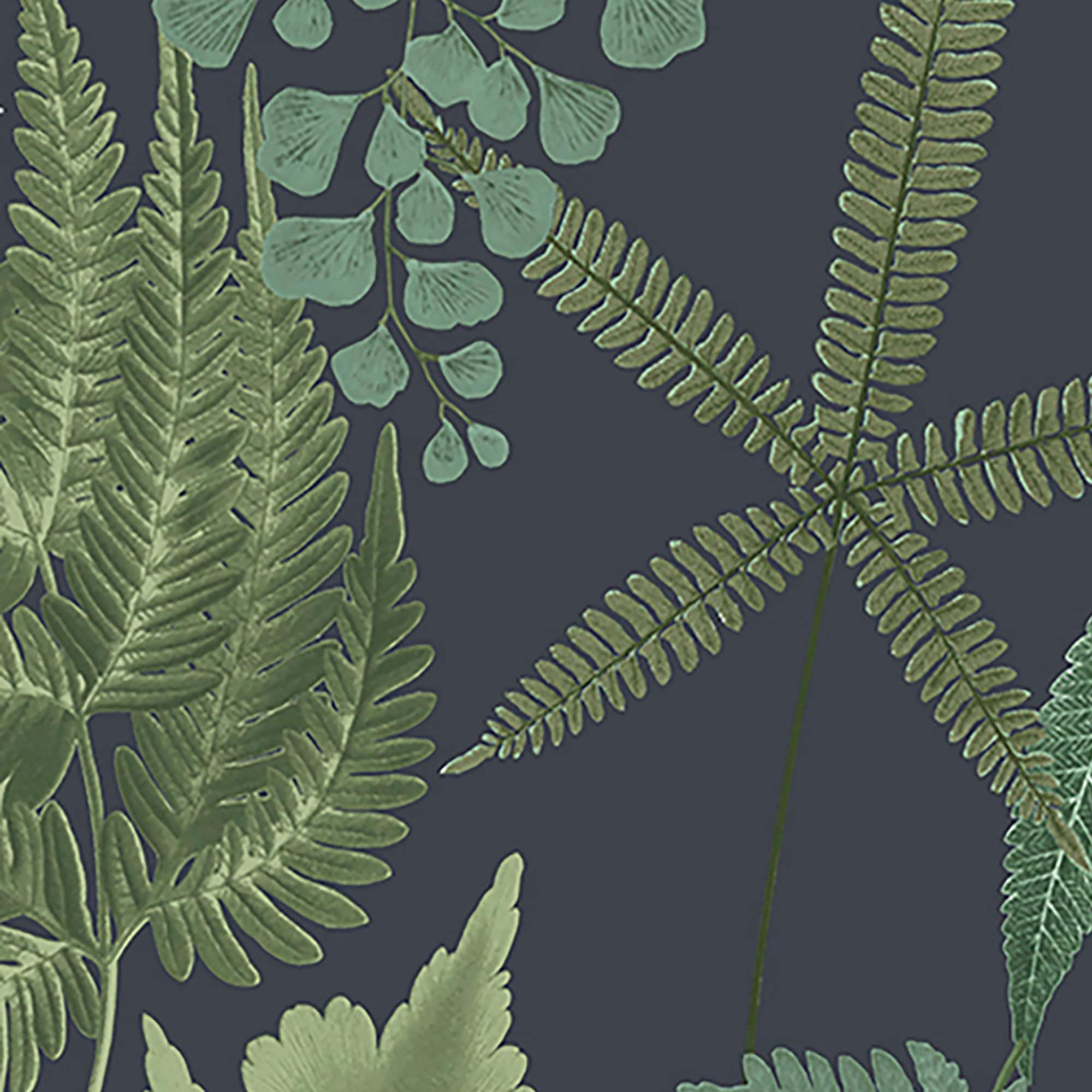 Midsummer Fern Navy Blue and Green Botanical Wallpaper