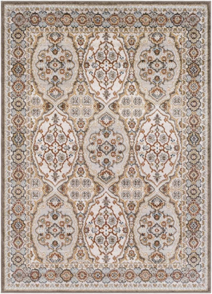 Surya OUS2314-6796 Oushak 6 x 10 Tan Medallion Oriental Area Rug