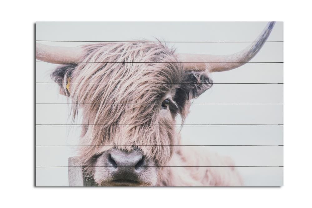 Gallery 57 S6523 Highland Cow Print on Wood Wall Art no frame 24-in H x 36-in W Country Wood Print