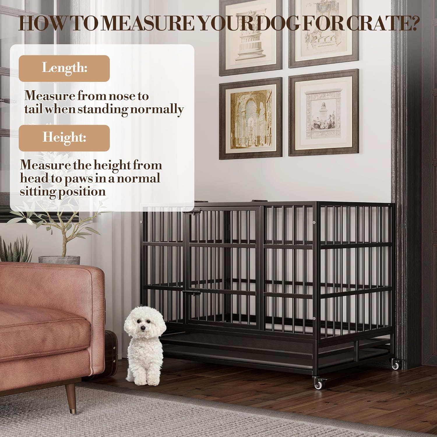 Qeetex CCPHO-12TVAJLI Pet-Crates-Carriers - View #6