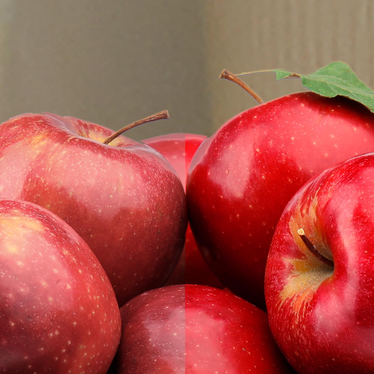 Philips EJD3013951  - View #3