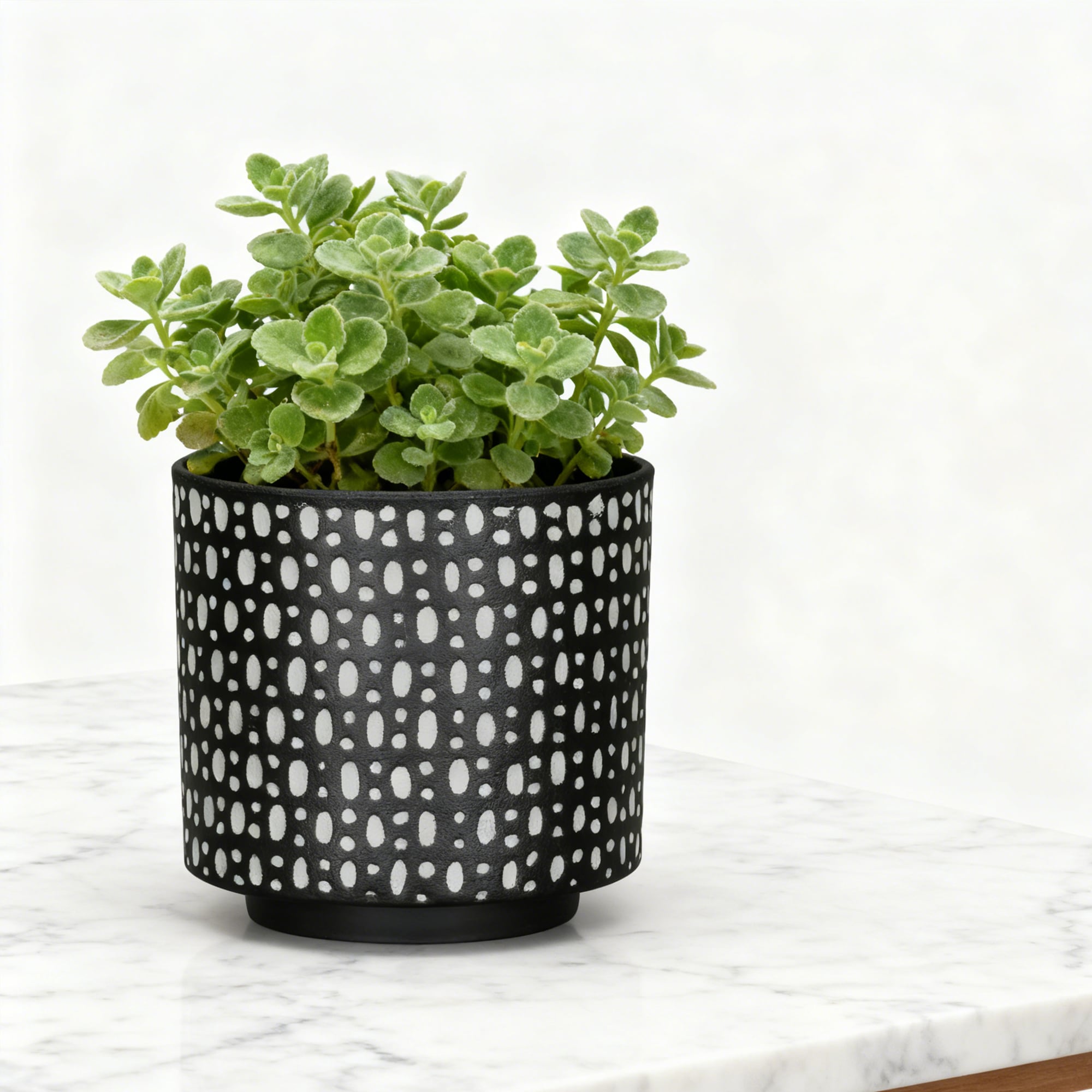 allen + roth PLKF808TKK Planter-Window-Box - View #6