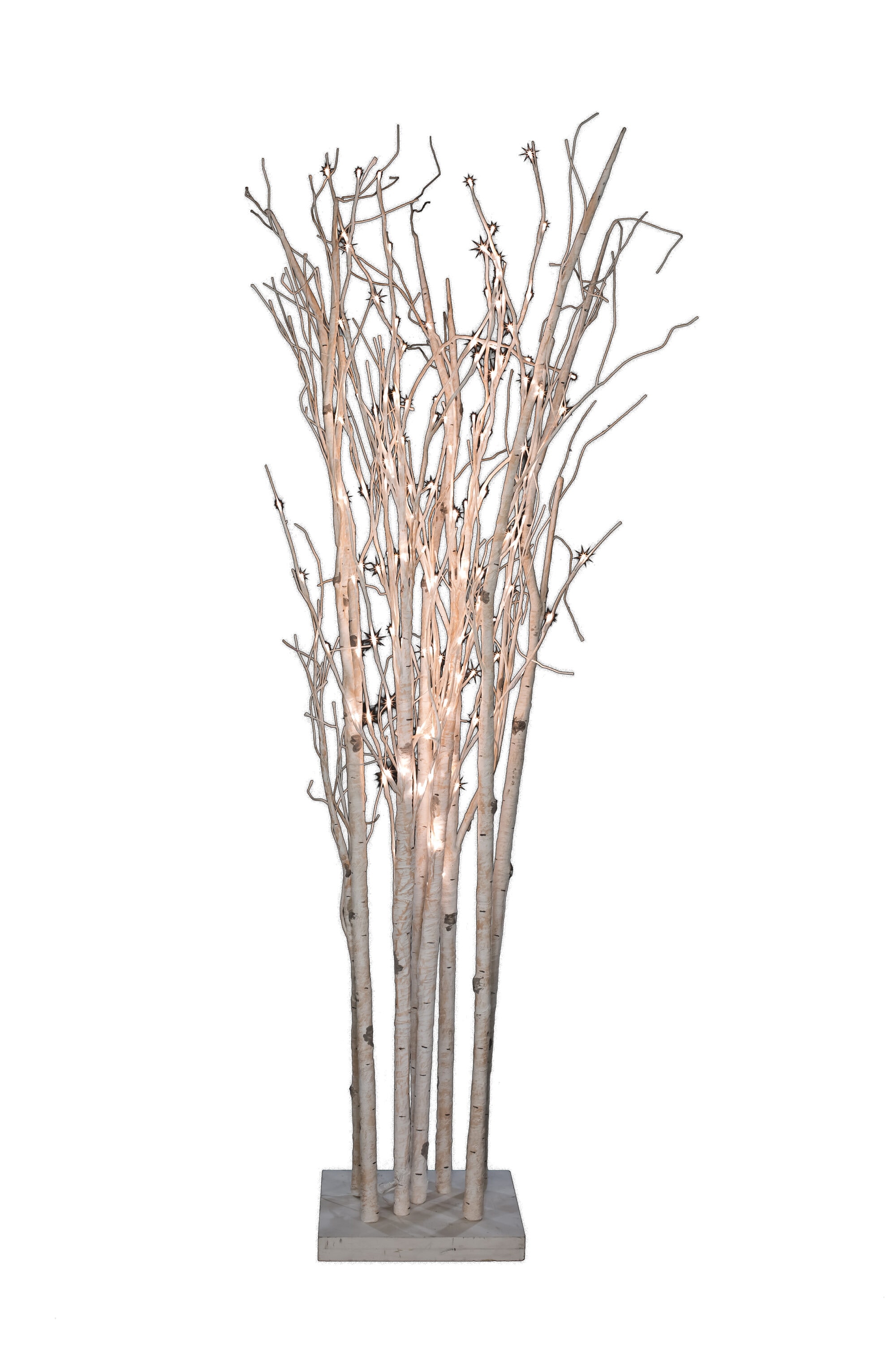 Northlight Decorated Standing Birch Branches in Wood Frame Table or Wall  Decoration