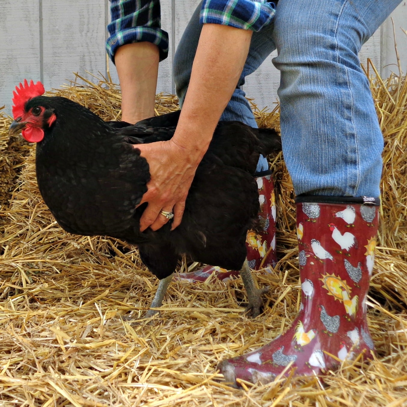 Sloggers 5016CBR07 footwear - View #3