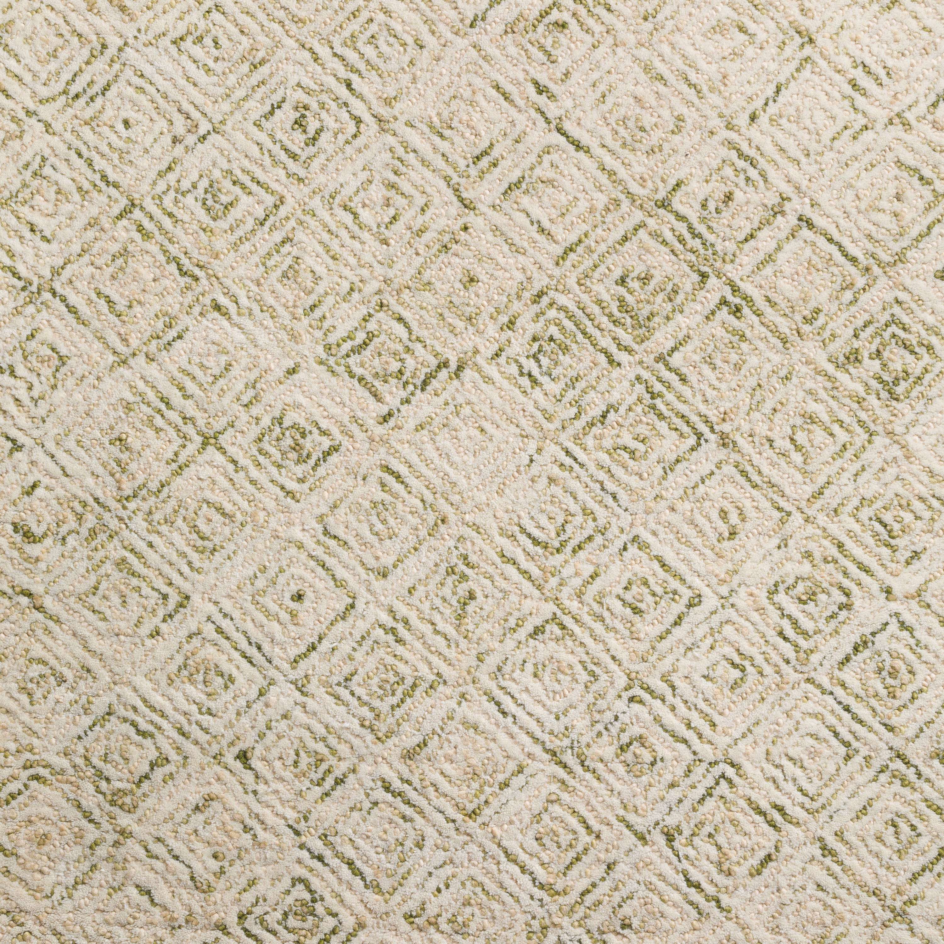Addison Rugs ADL31MO4X6 rugs - View #2