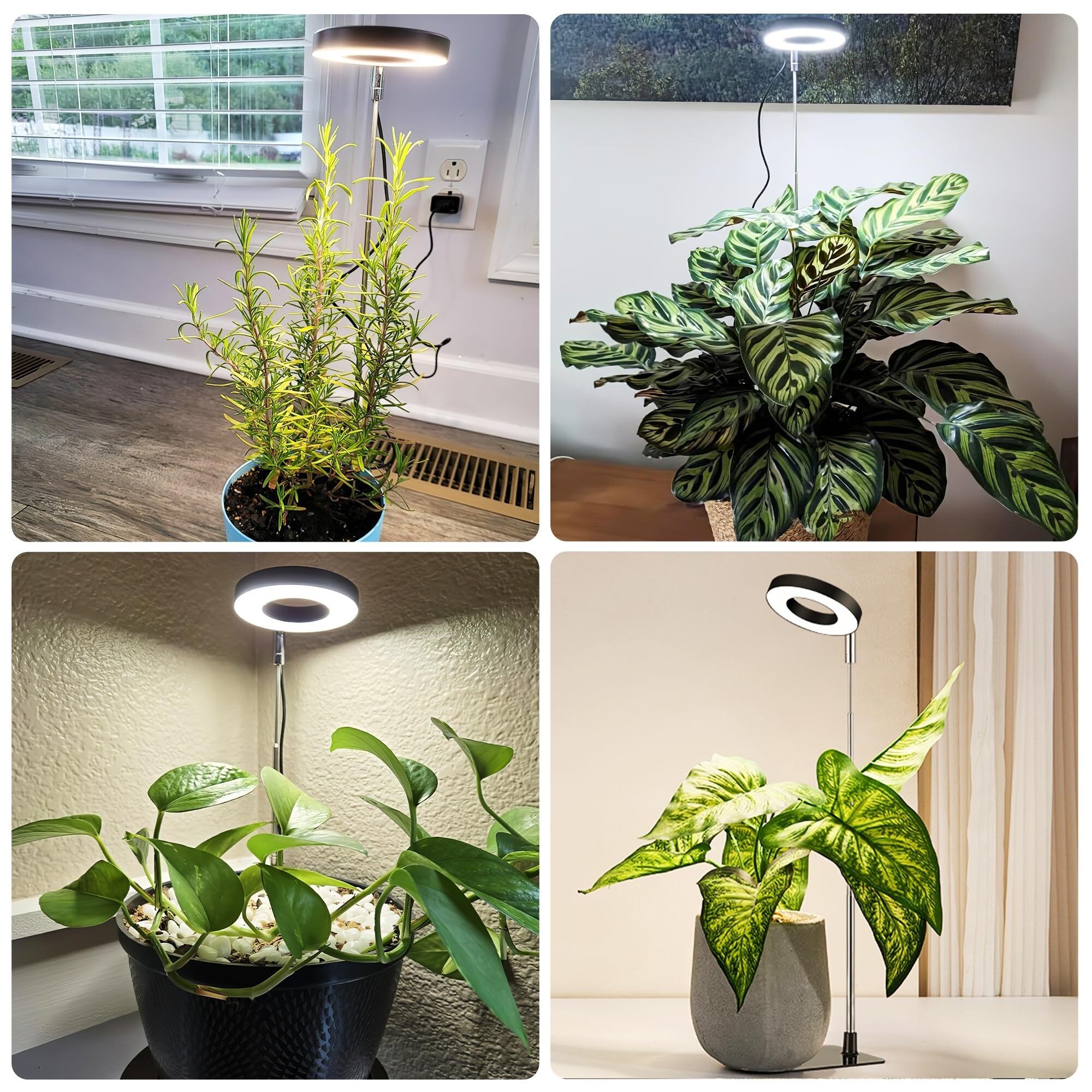 Anqtovp L05AN08082 Grow-Lights - View #7