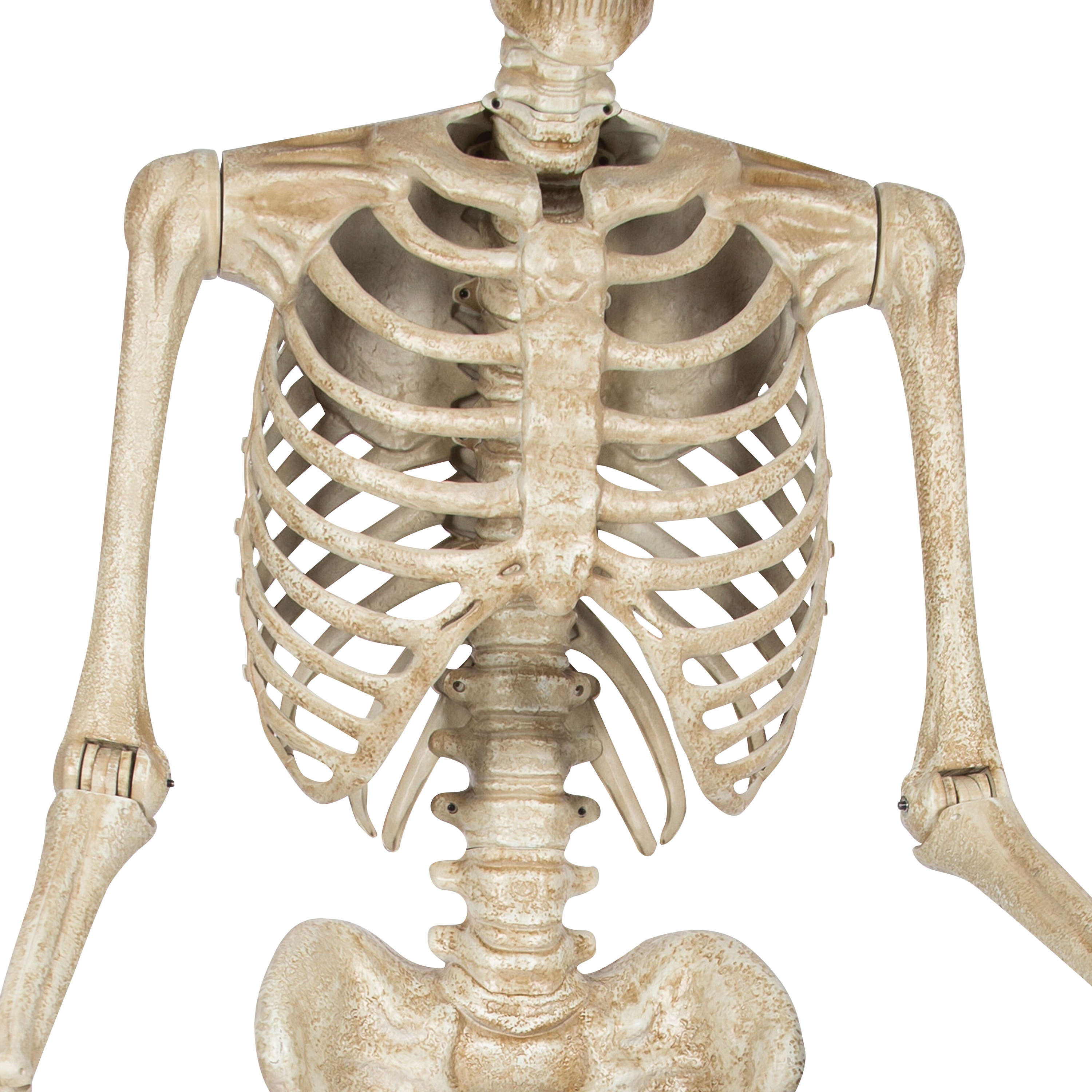 Haunted Living 556534 Outdoor-Halloween-Decor - View #4
