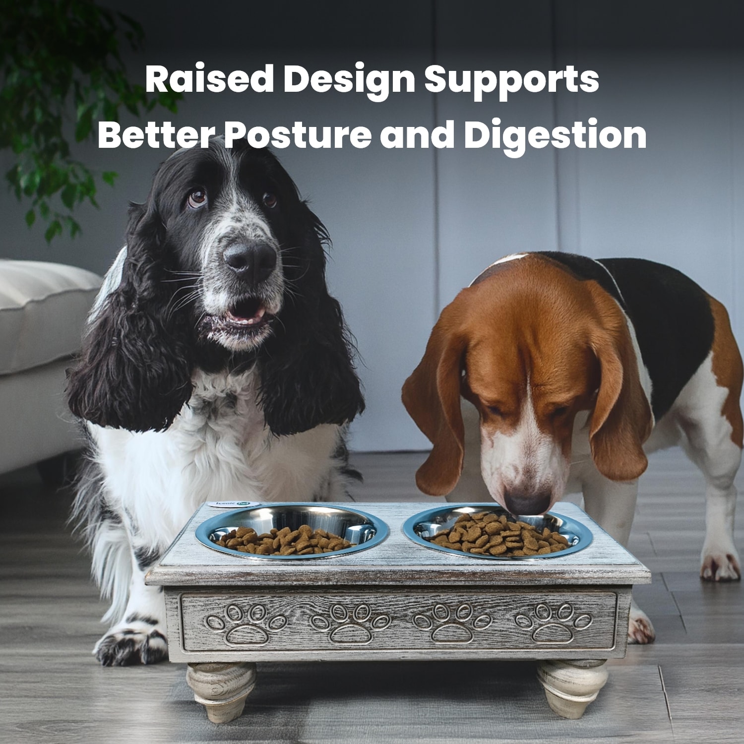 Iconic Pet 52067 Pet-Feeder - View #7