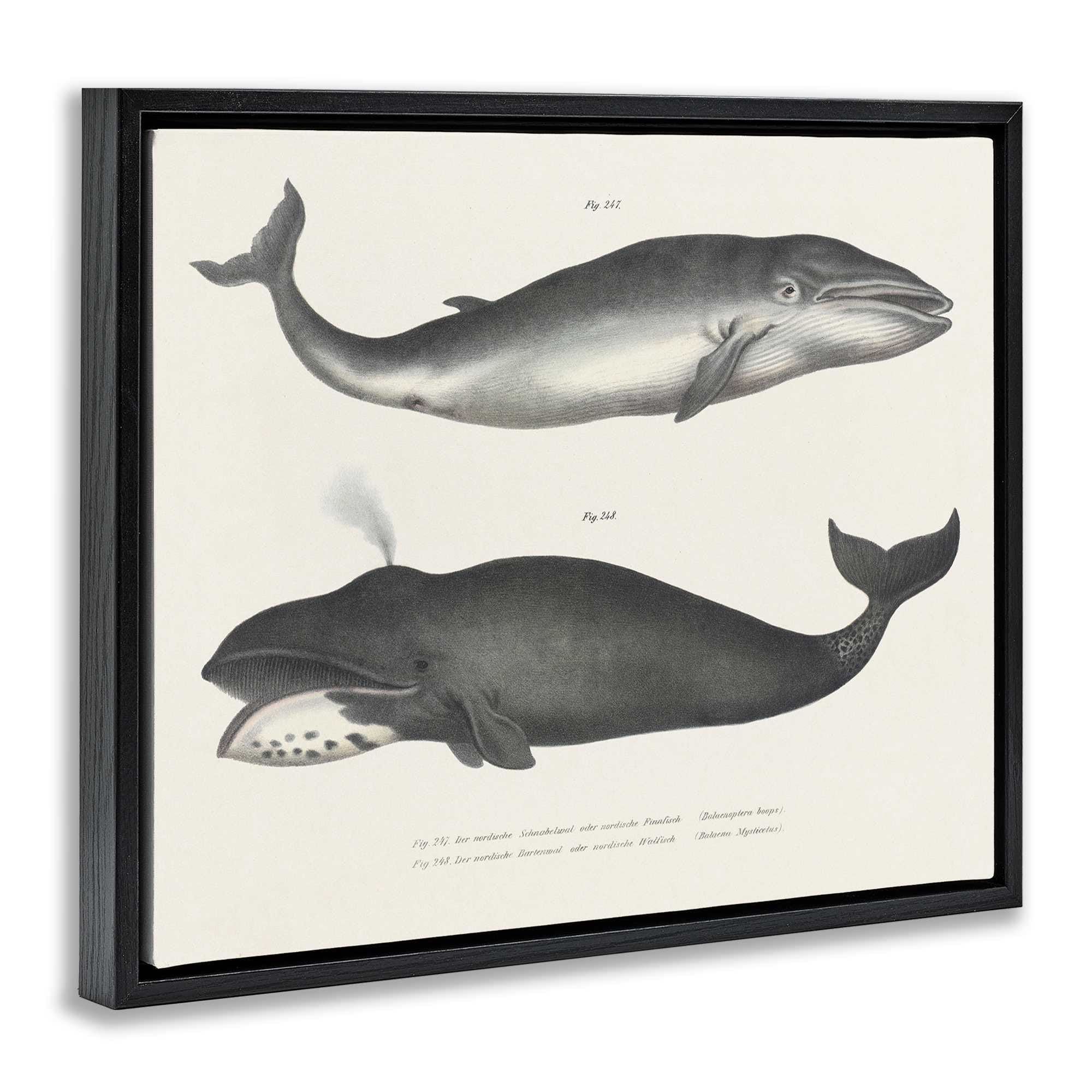 Stupell Industries BT-456-FFB-24X30 Wall-Art - View #2