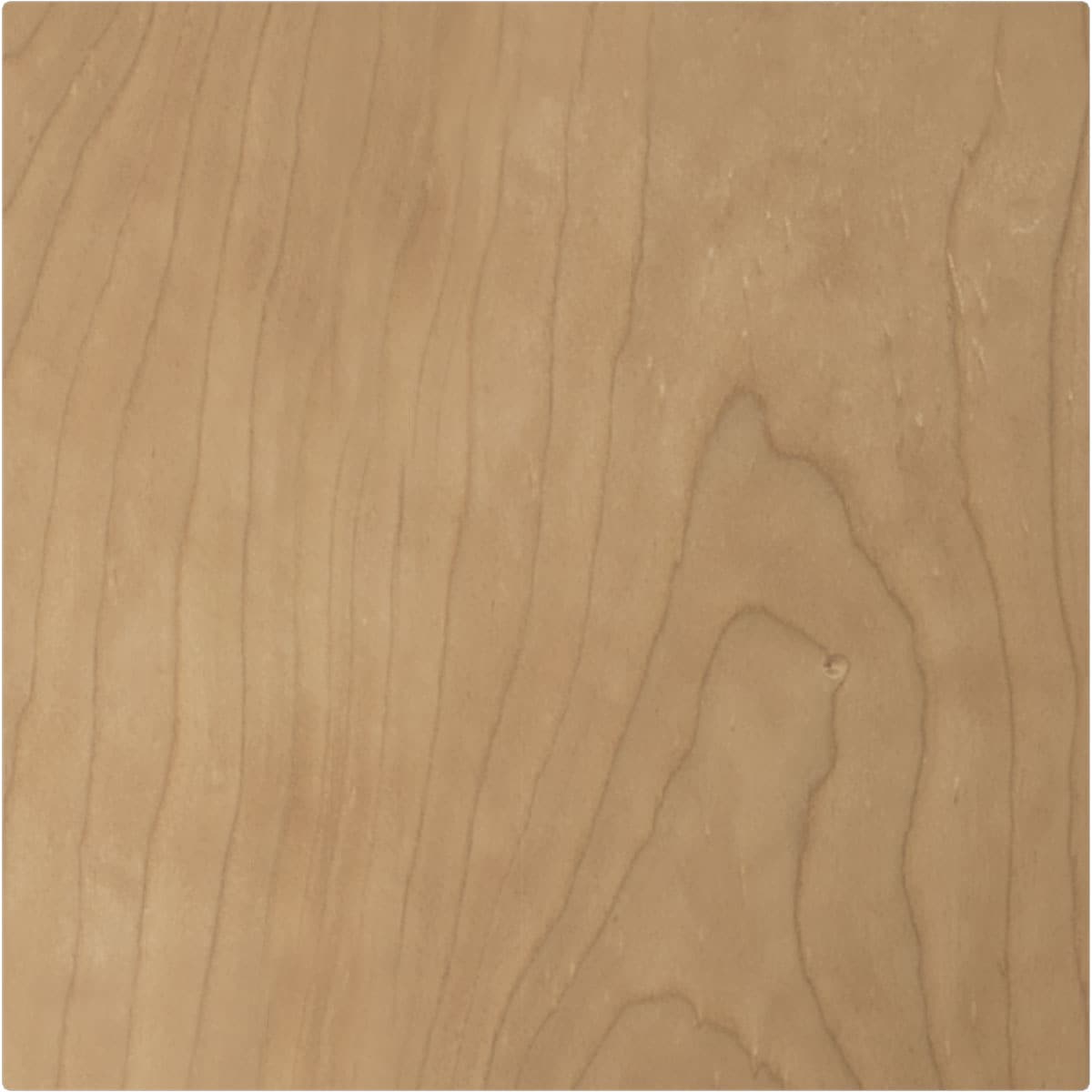 Ekena Millwork ROS03X03EDMA rosettes - View #4