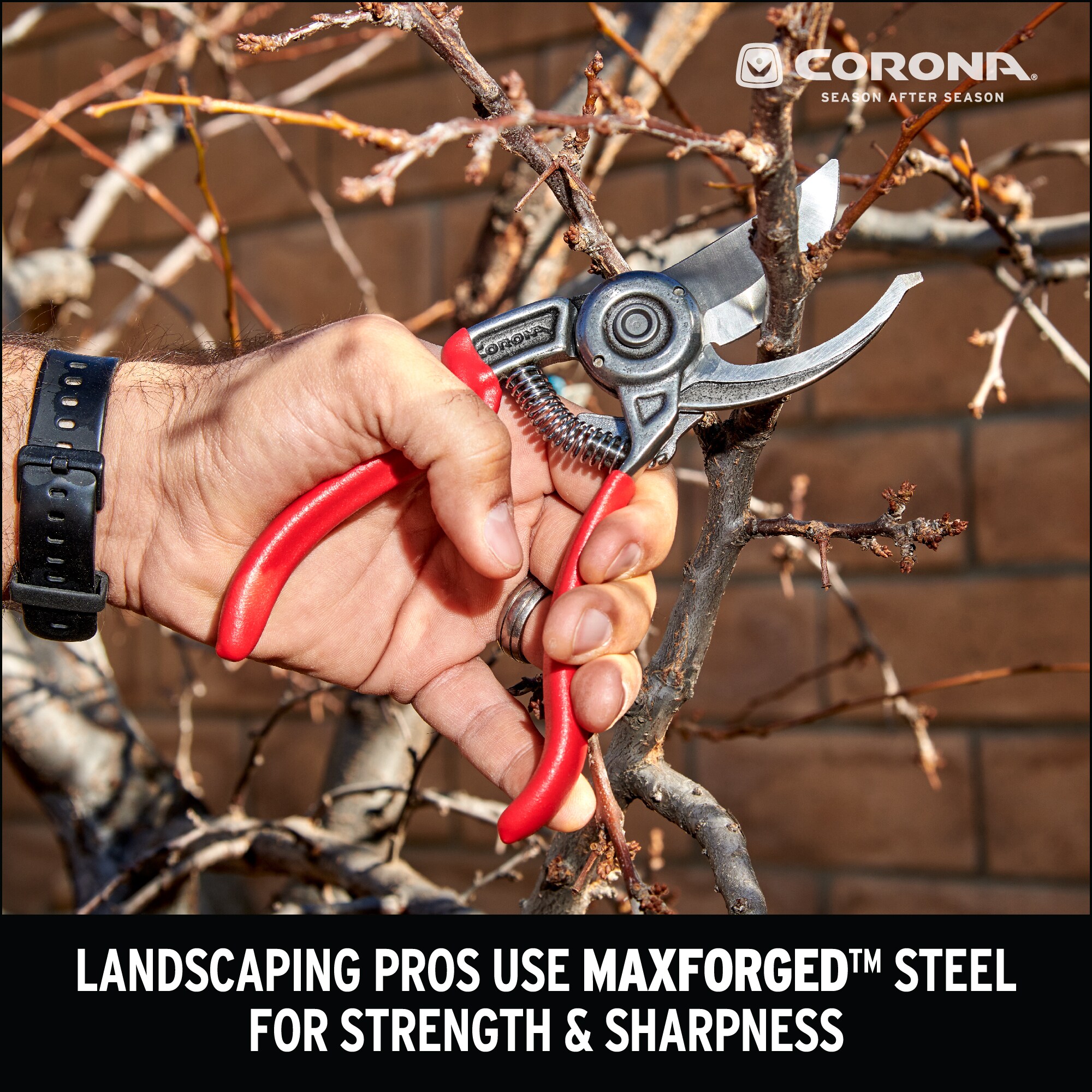 Corona BP 3670 Hand-Pruners - View #3