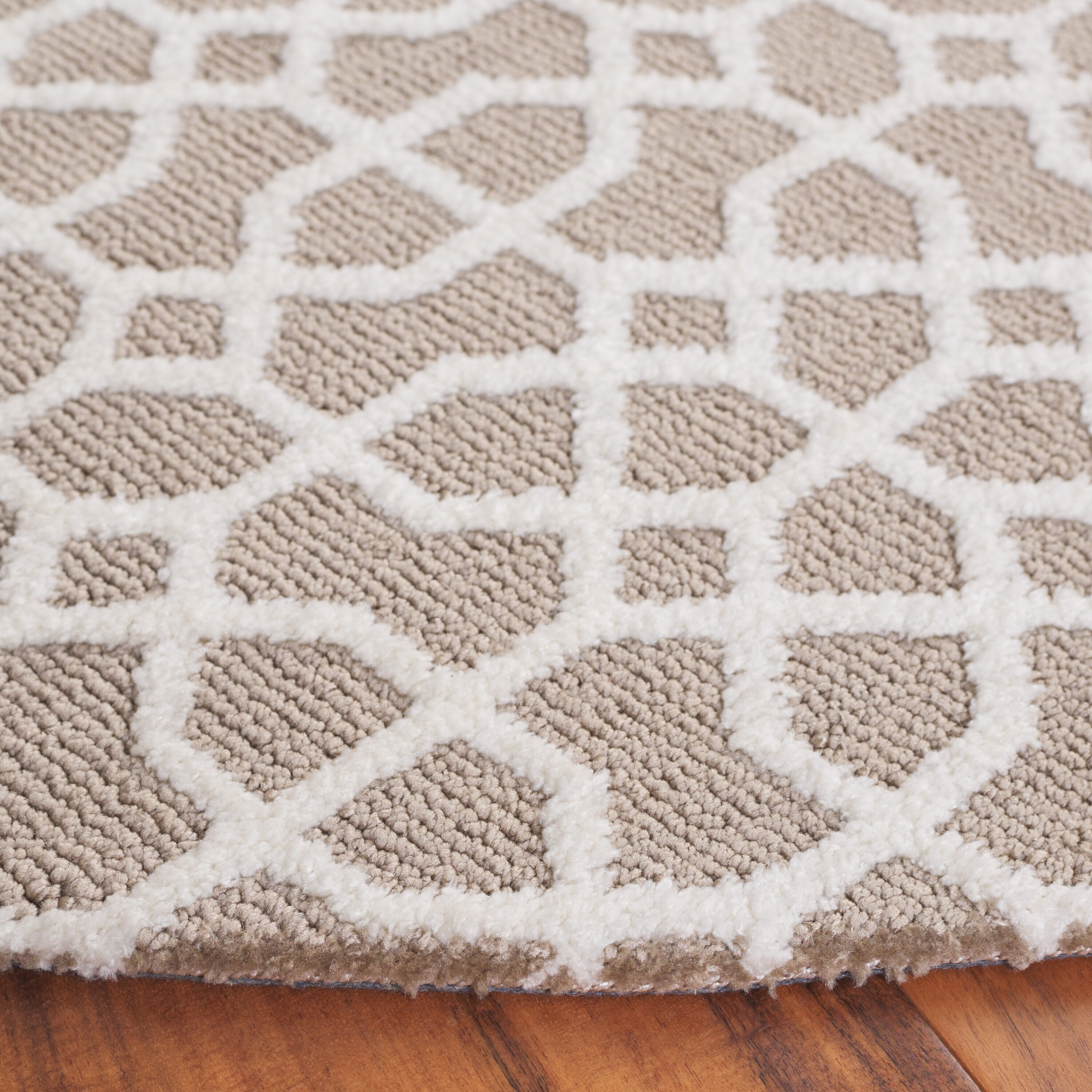 Safavieh AUD103E-6R rugs - View #3
