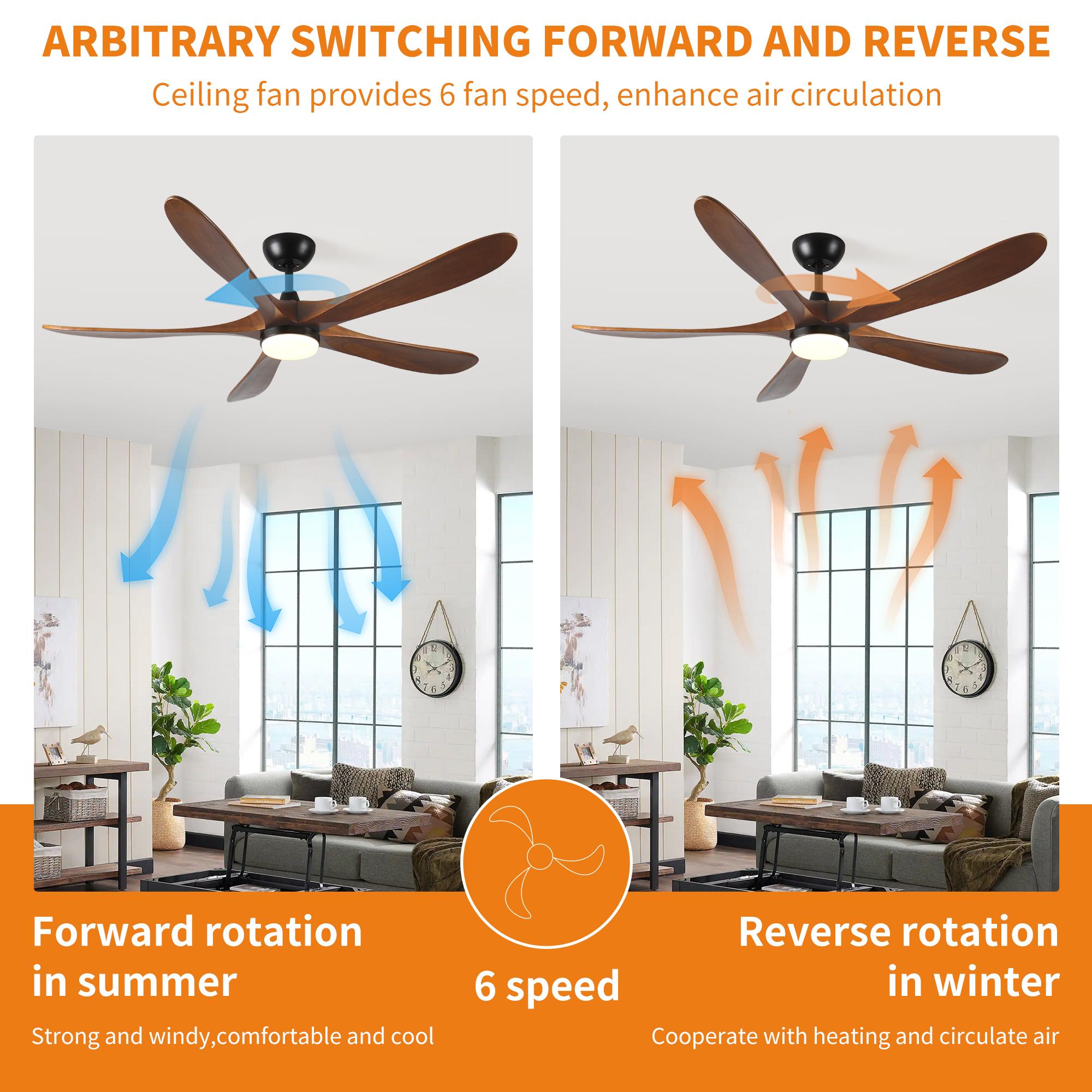 Bayfeve BFRF-54298-CF Ceiling-Fans - View #10