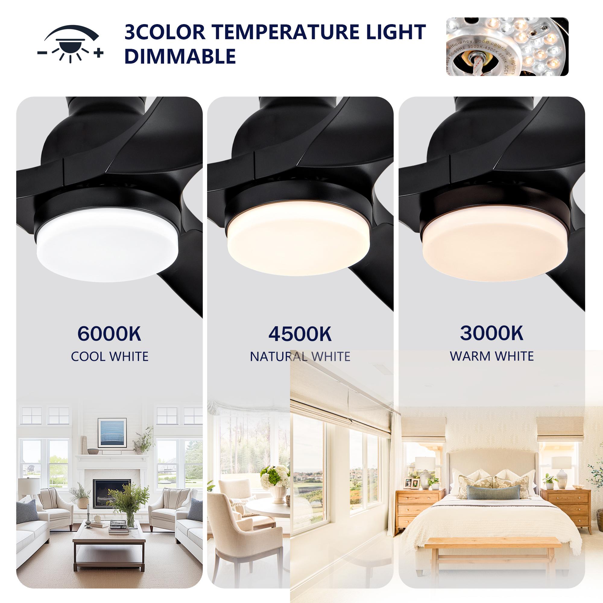 Bayfeve BFHM-62798-CF Ceiling-Fans - View #10