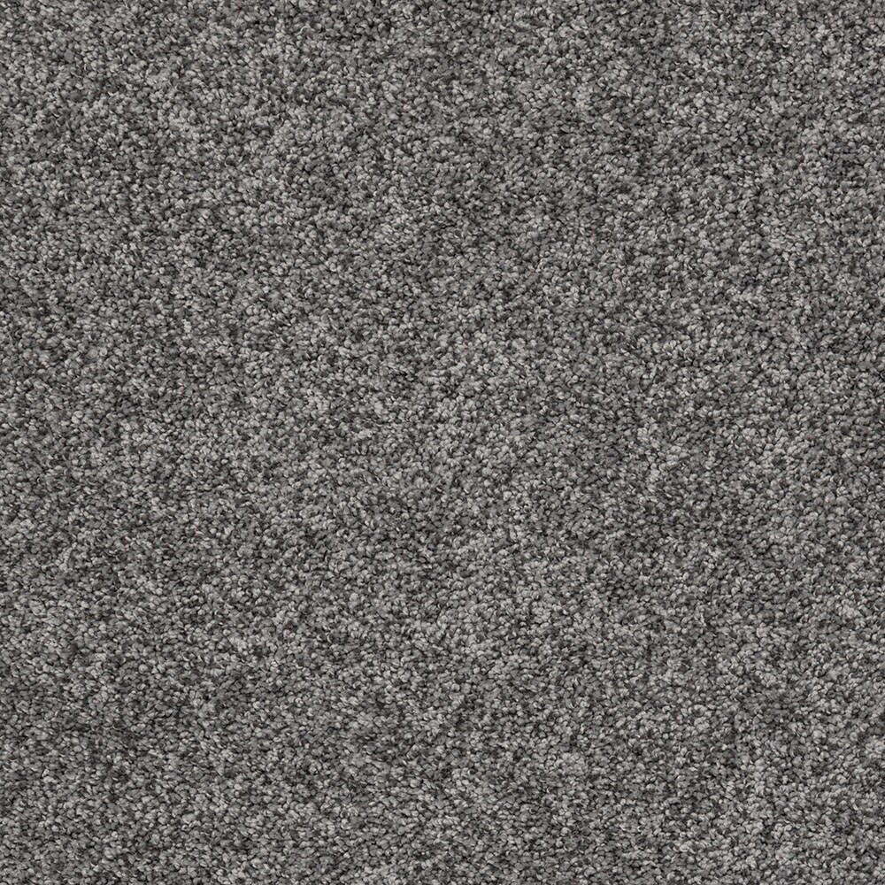 STAINMASTER Comfort Walk III Cyclone Level Loop Indoor Carpet in the ...