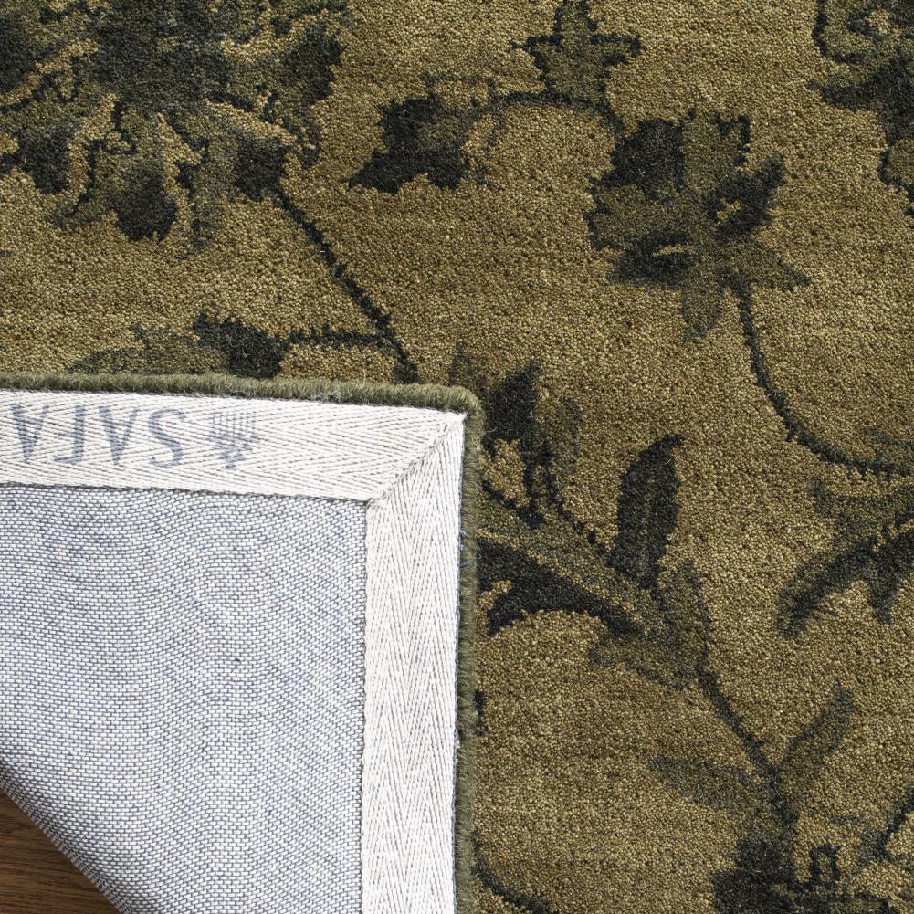 Safavieh AT824A-6R rugs - View #4