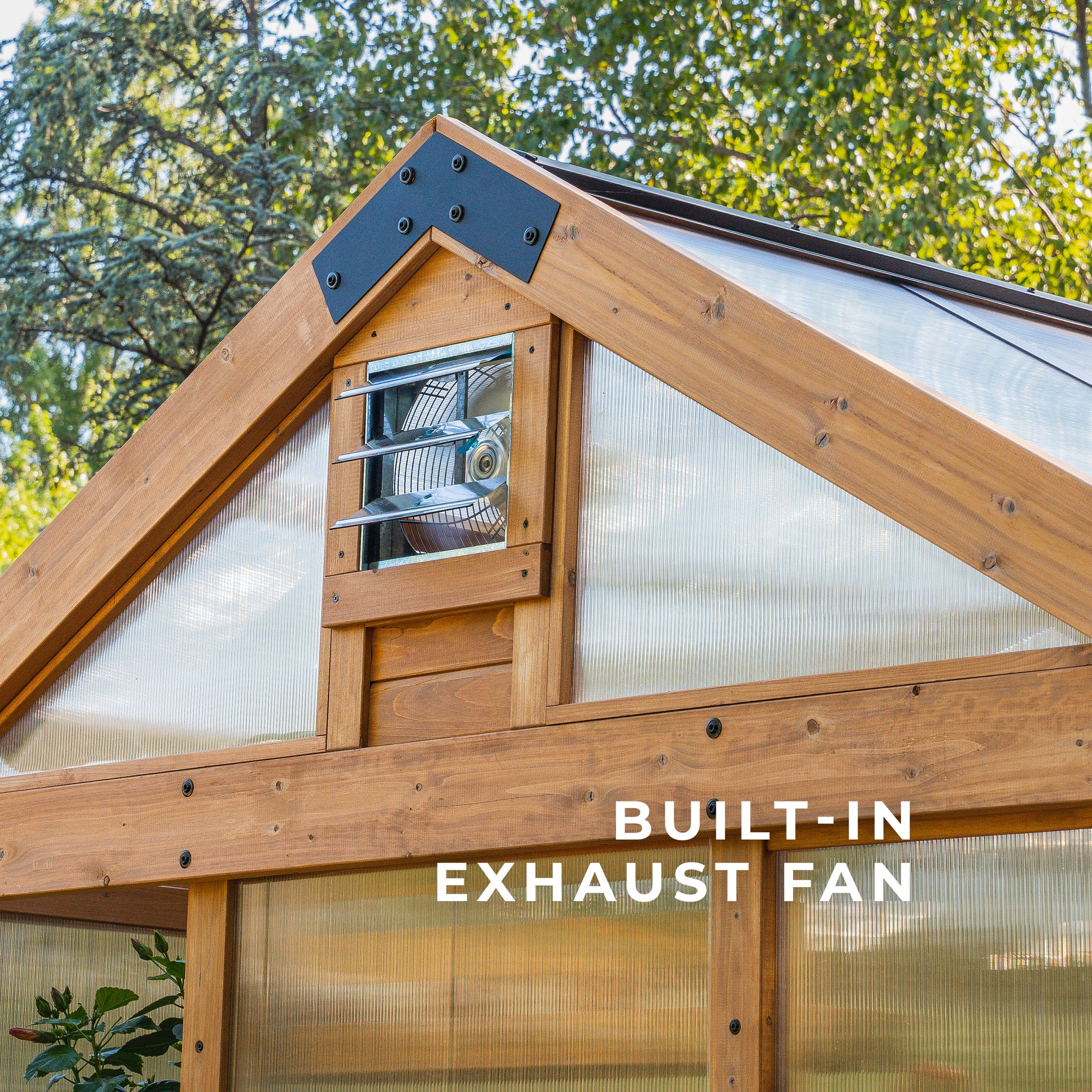 Backyard Discovery 11 x 7 Cedar and Polycarbonate Greenhouse