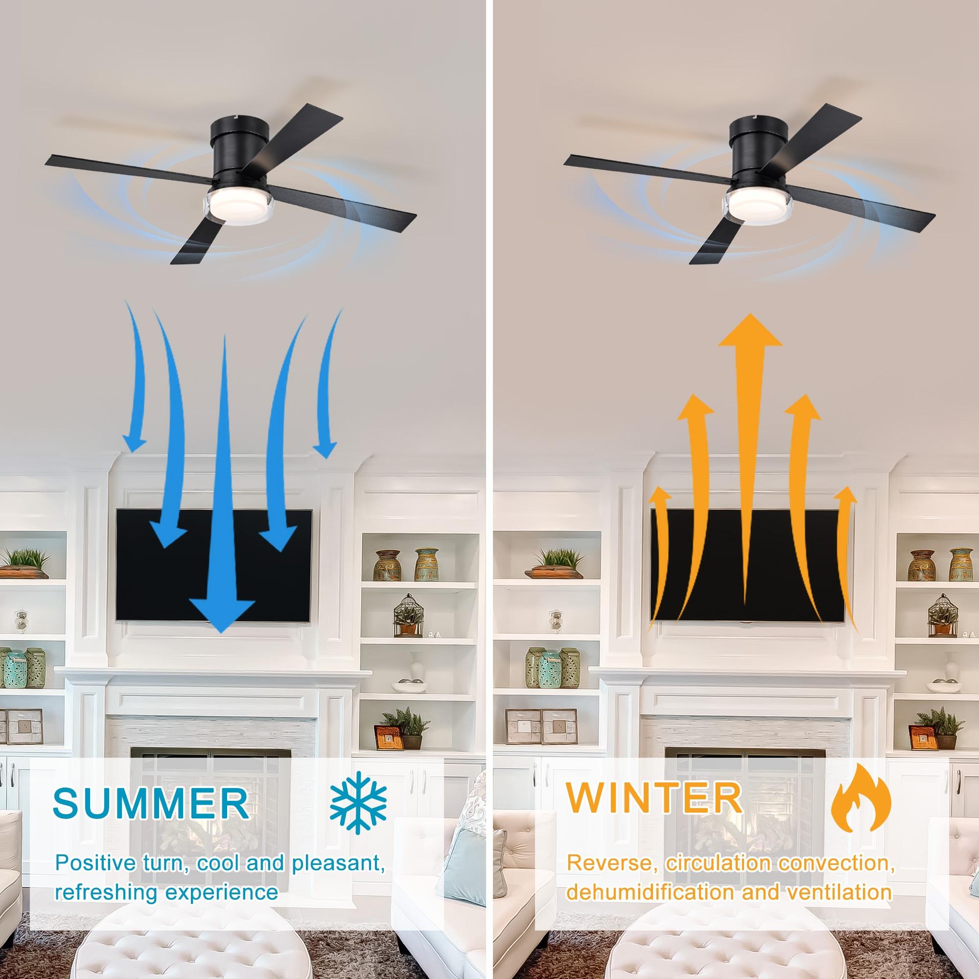 Bayfeve BFHM-62798-CF Ceiling-Fans - View #12