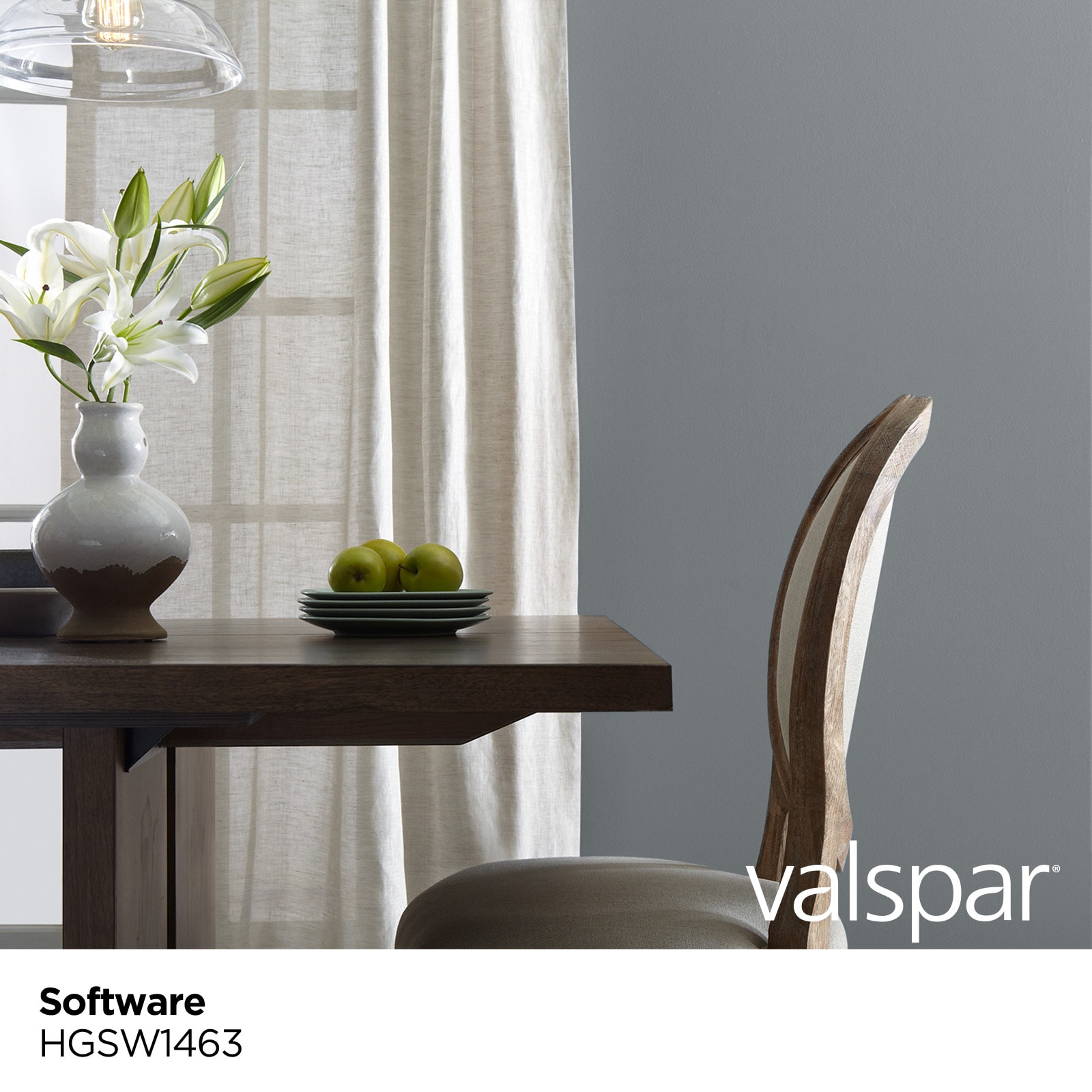 Valspar HGSW1463-773978 Int-Ext-Paint - View #3