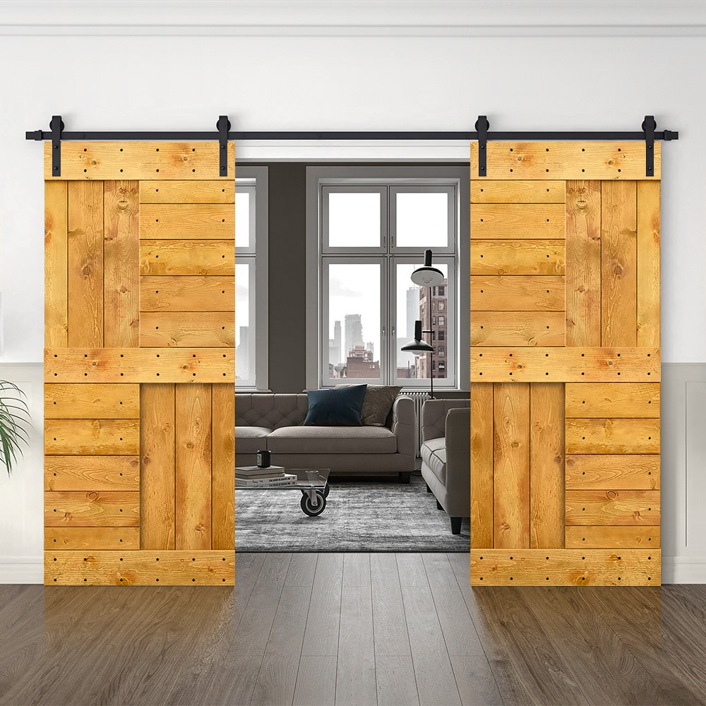 CALHOME MK-96(2+N1-38AT(2+CN Barn-Doors - View #2