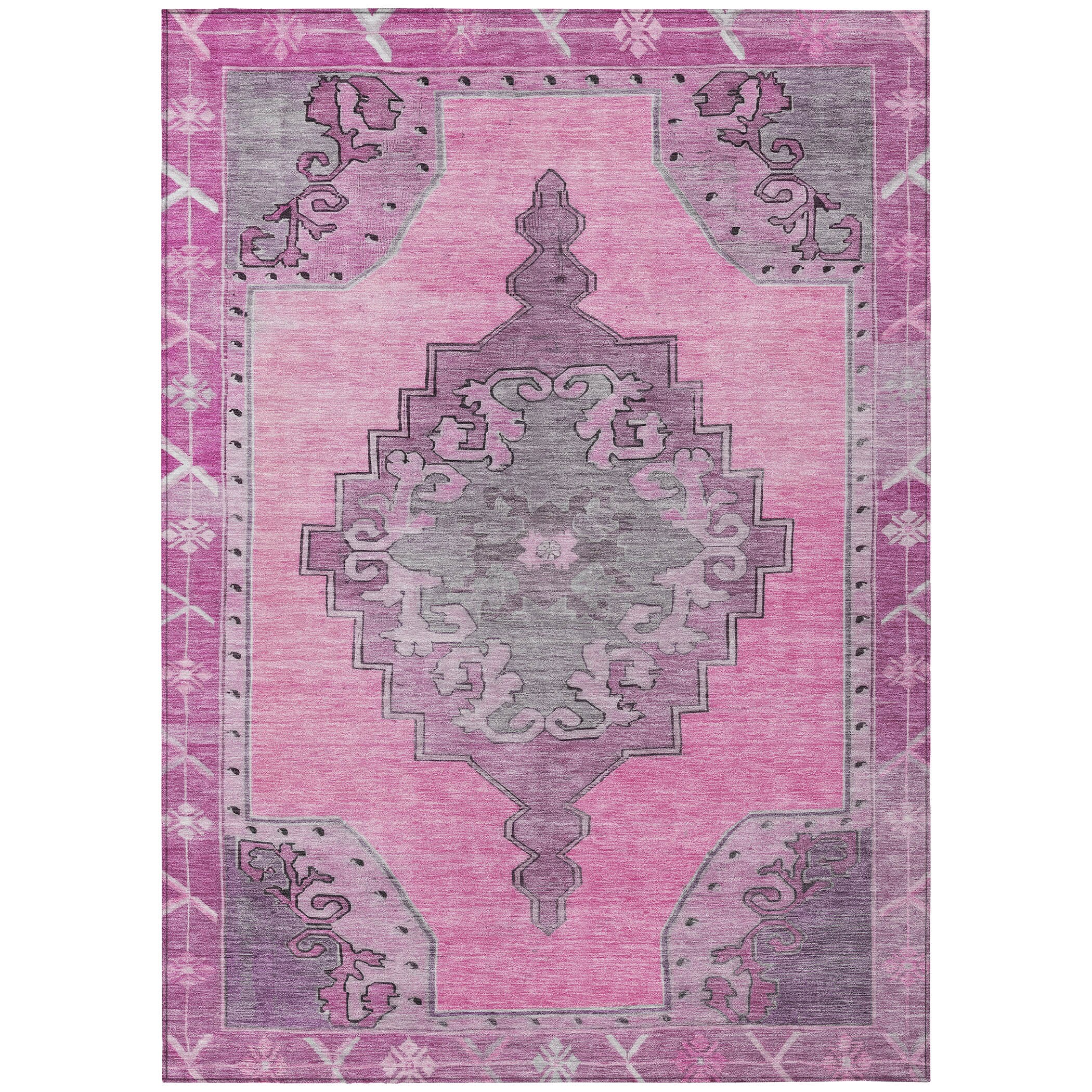 Addison Rugs ACN1731PI30X46 rugs - View #2
