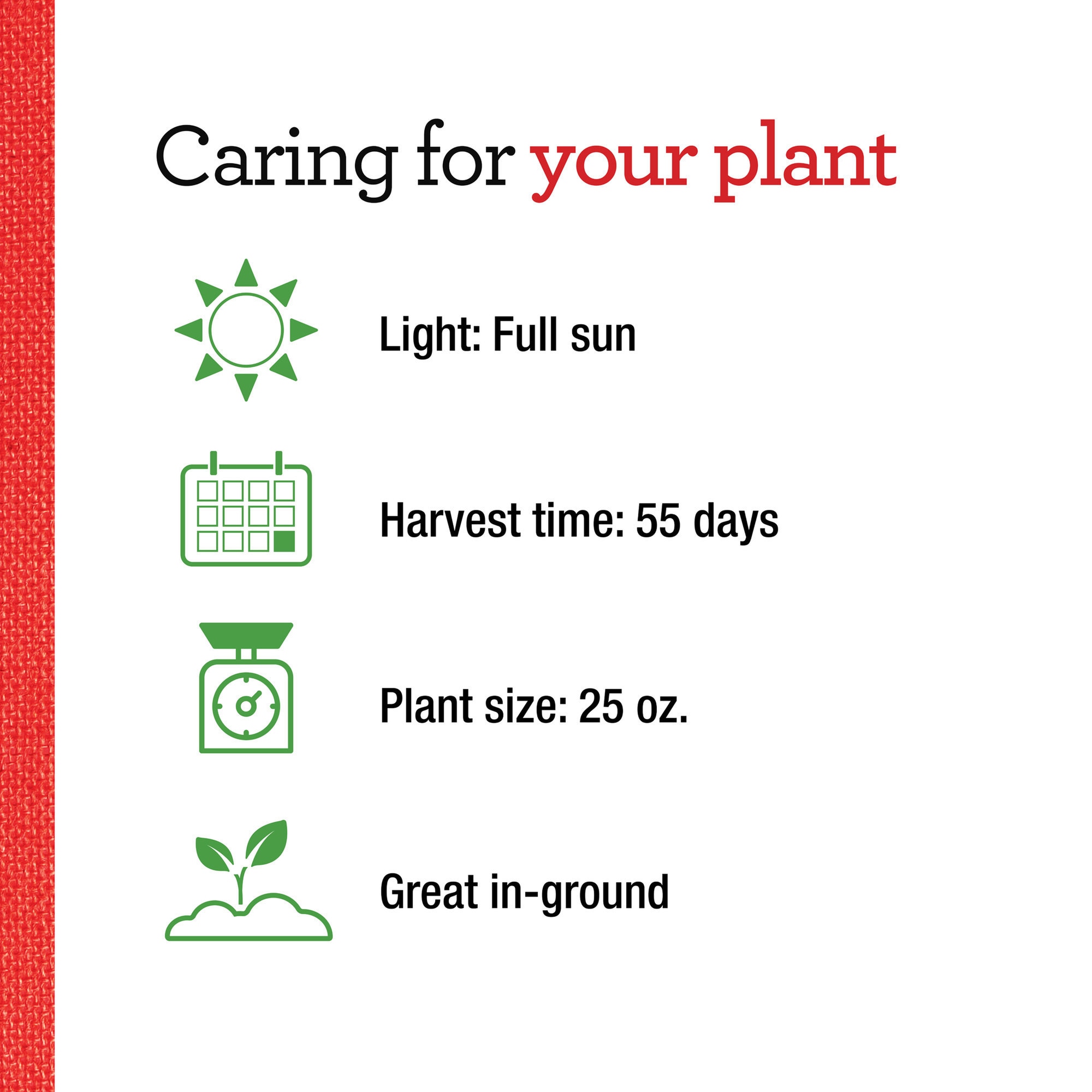 Bonnie Plants 202057 Vegetable-Plants - View #5