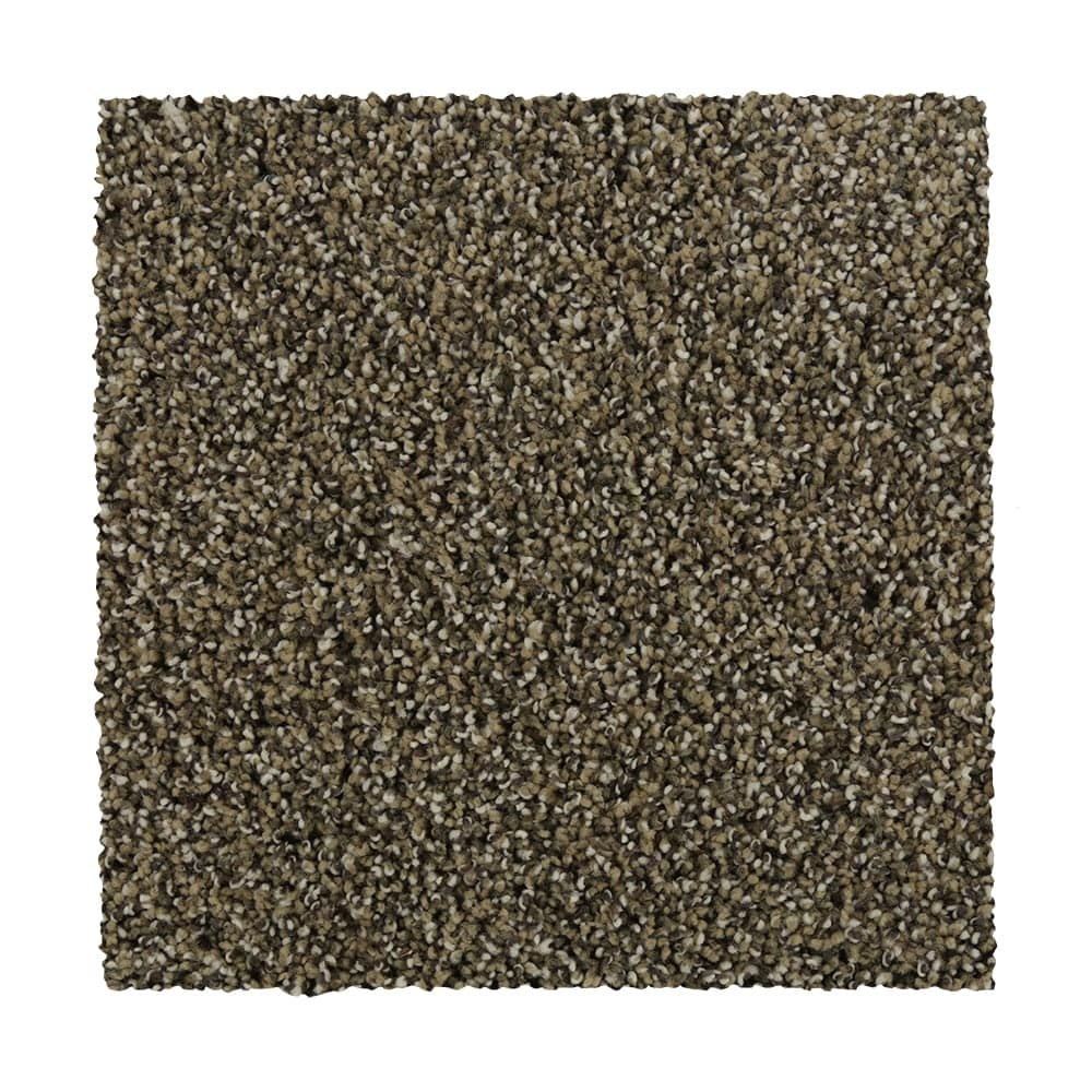 STAINMASTER STP62-L001-0808 (Sample) Tranquil Walk II Retreat Gray 52-oz sq yard Triexta Textured Indoor Carpet