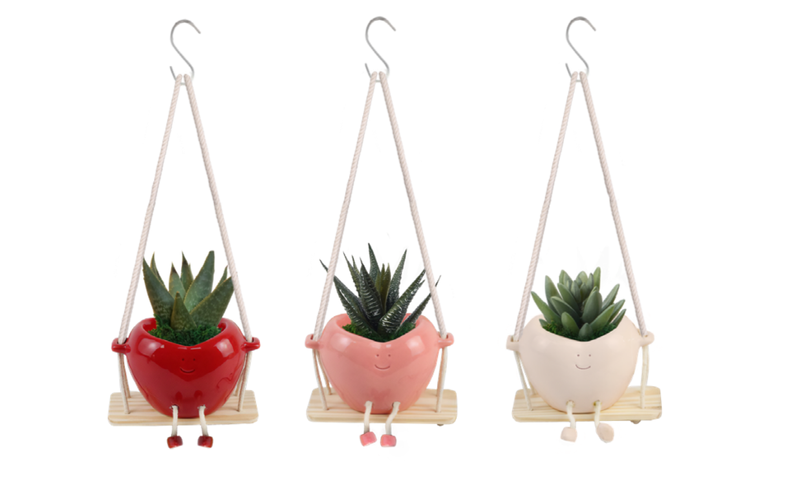 LiveTrends Homespun House Plant in 12-oz Pot ASB06703 at