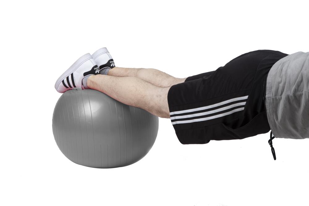 FitBall Wedge Cushions, Assistive Technology