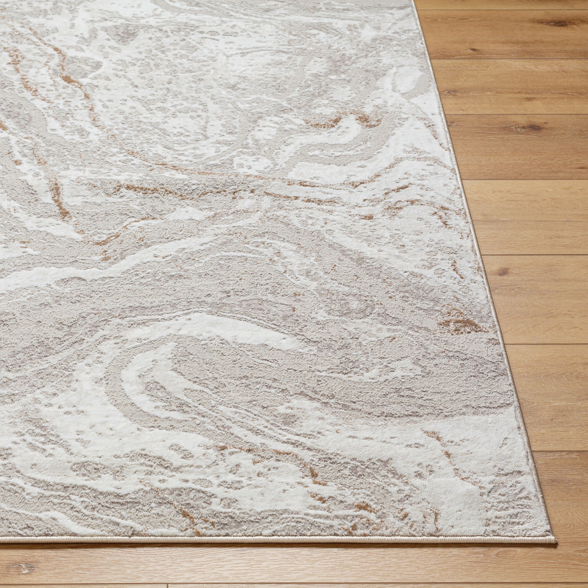 Livabliss ALG2339-537 rugs - View #2