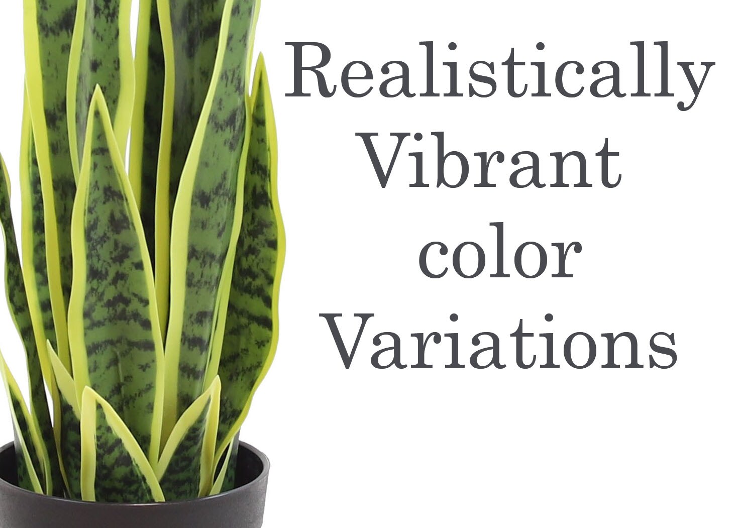 The Mod Greenhouse YPT01050 Artificial-Plants-Trees - View #2