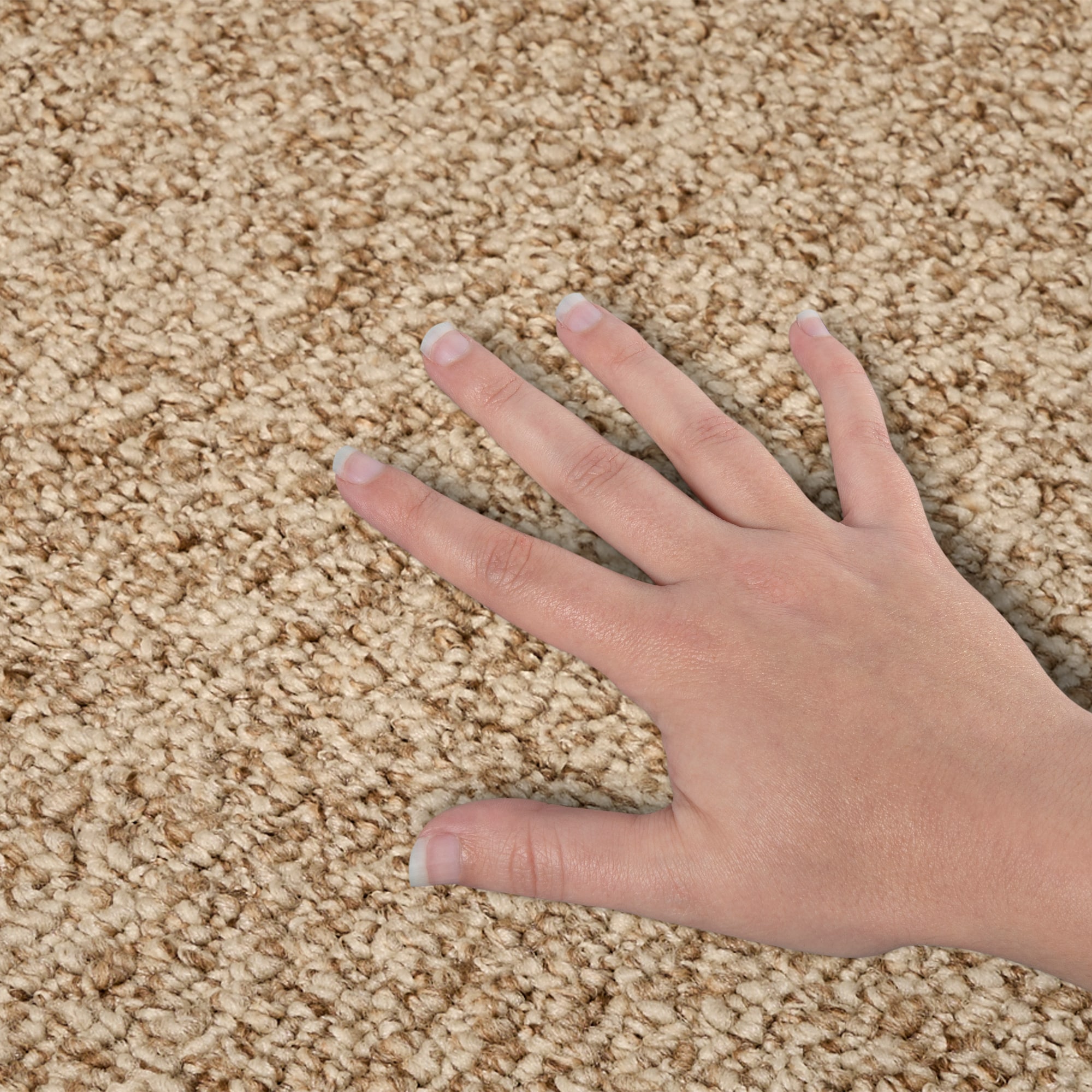  SS027-12-L001 Carpet-Panel - View #4