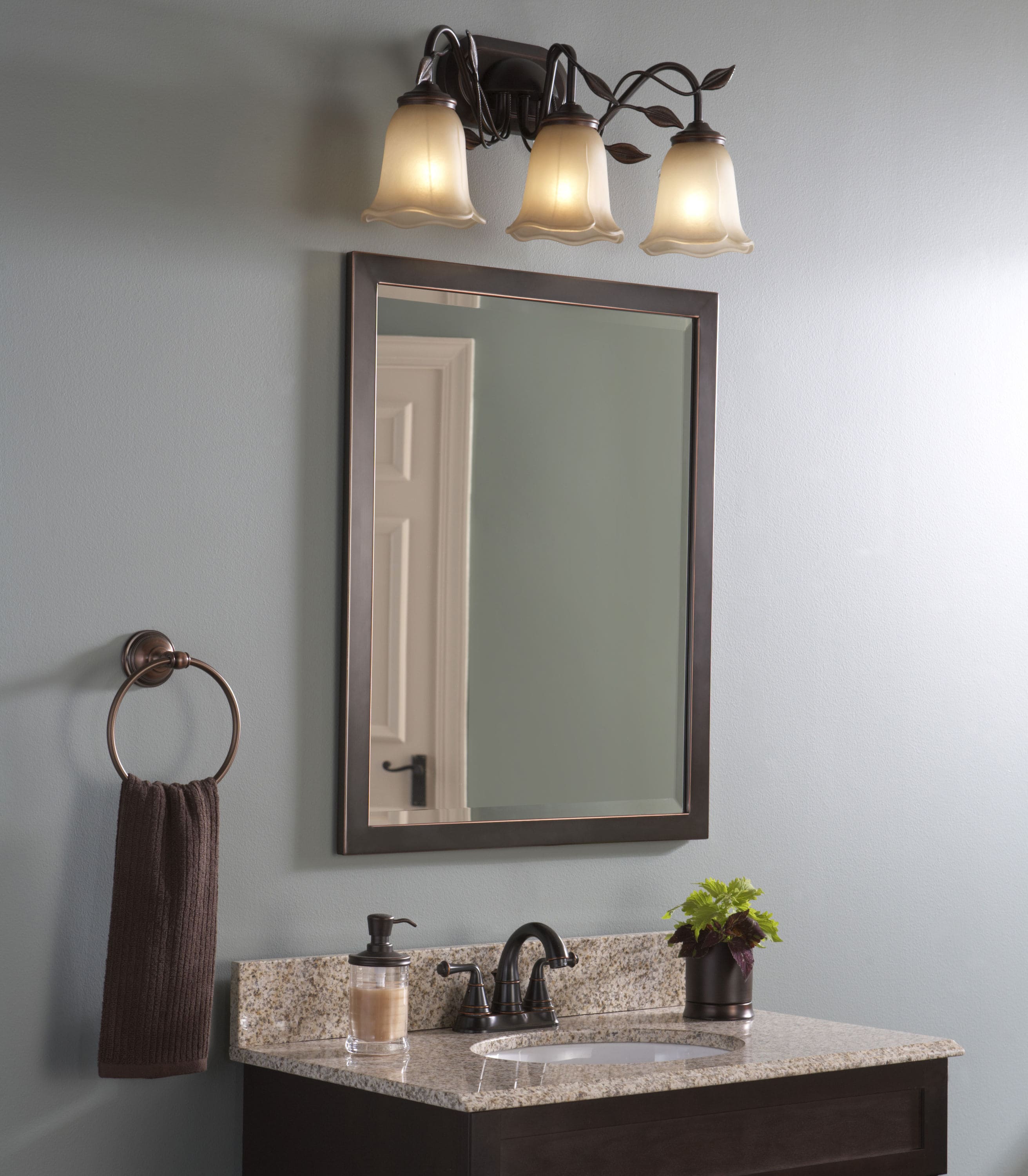allen + roth 24-in W x 30-in H Oil-Rubbed Bronze Rectangular Bathroom  Vanity Mirror in the Bathroom Mirrors department at Lowes.com