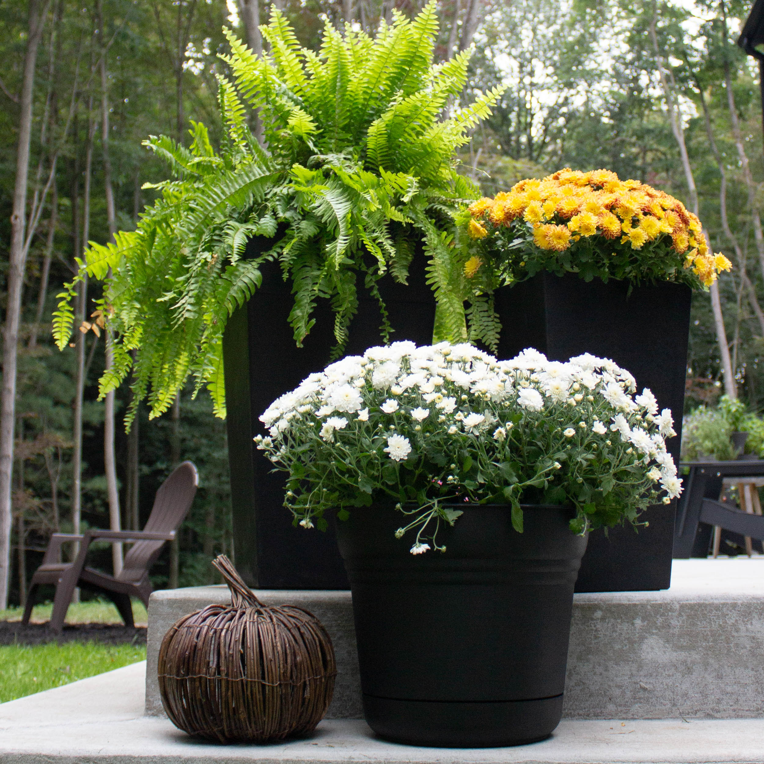 Bloem DCB-FPSMIX3 Planter-Window-Box - View #5