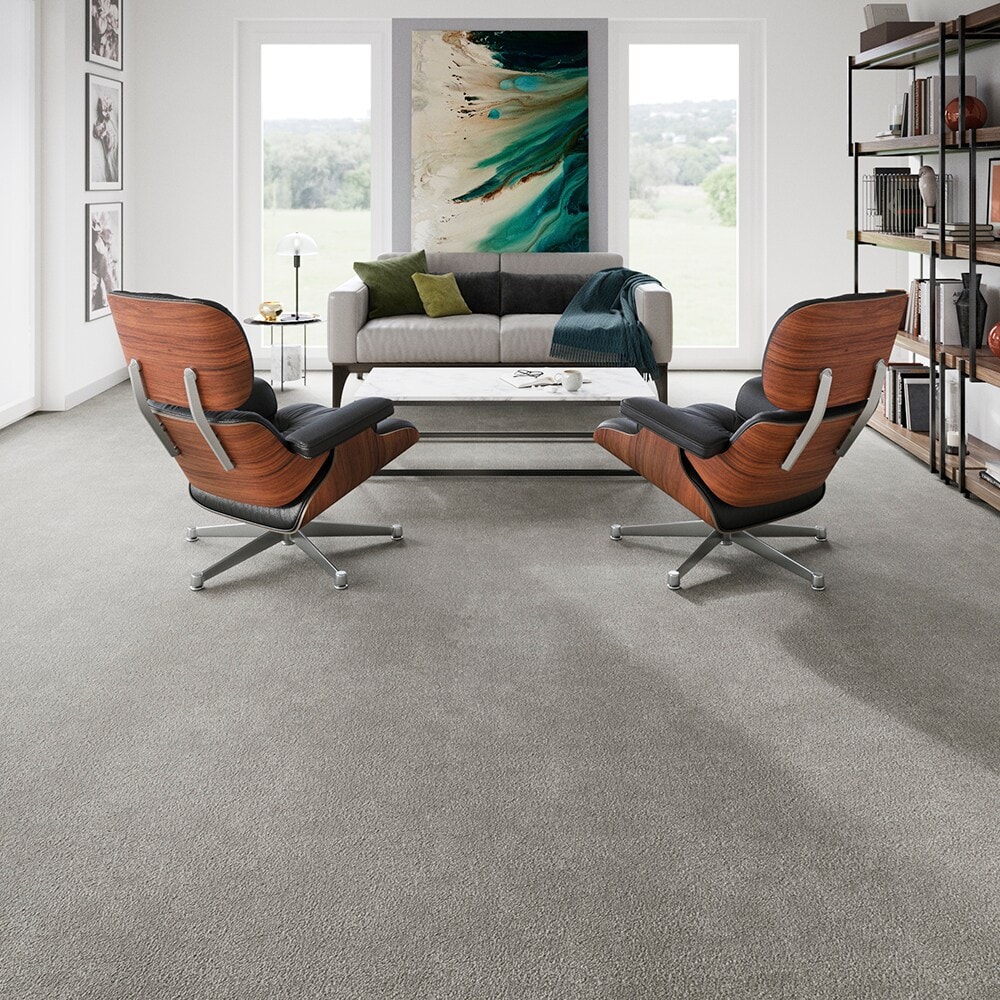 STAINMASTER PetProtect SS009-L013-0808 Carpet-Samples - View #6