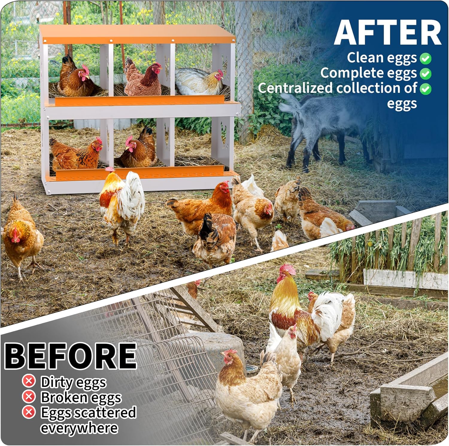 Qeetex WLS-PPG-33LQQWPE Chicken-Coops-Rabbit-Hutches - View #4