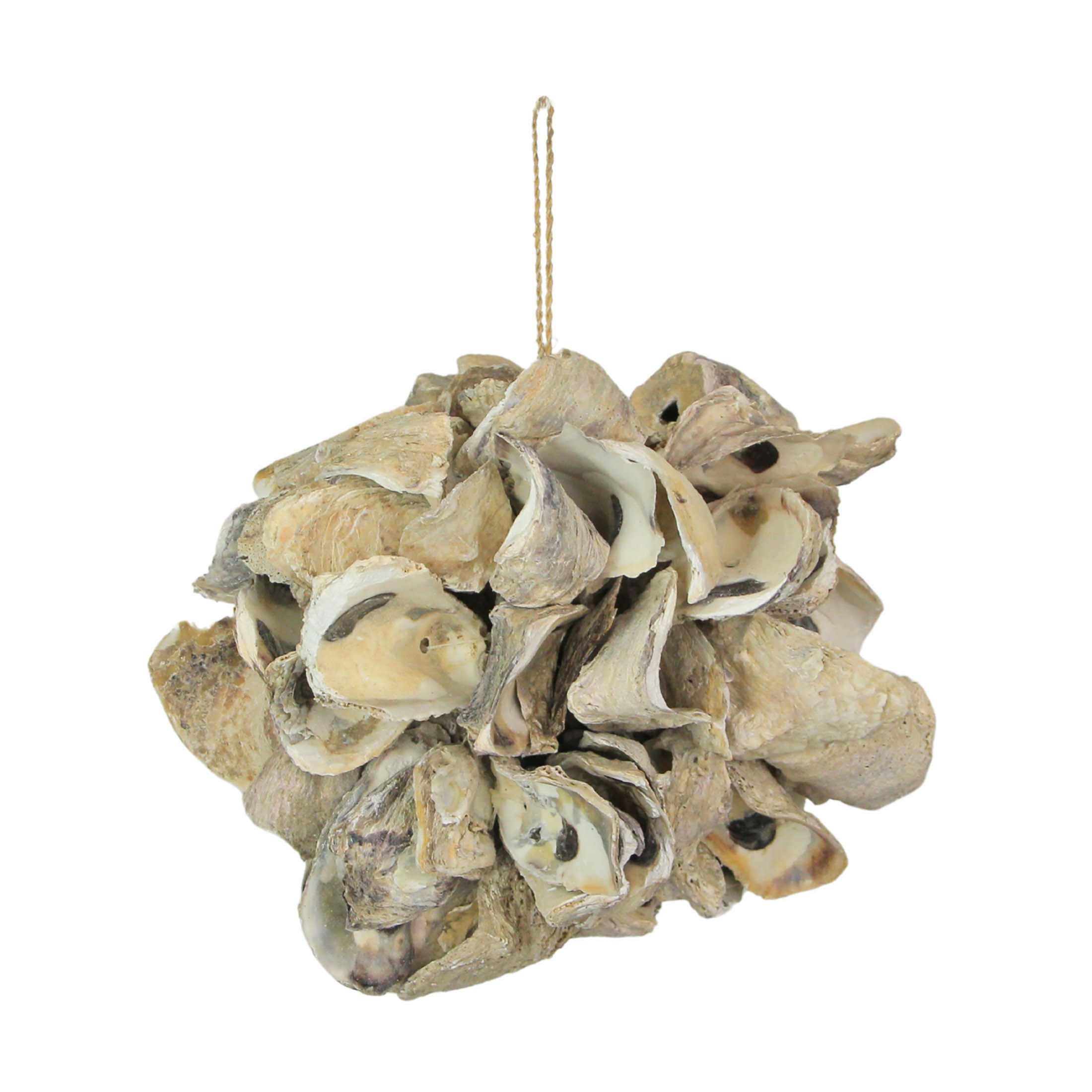 Things2Die4 JDY-13010 Coastal Oyster Shell Decor Versatile Shell Ornaments Home and Event Decoration